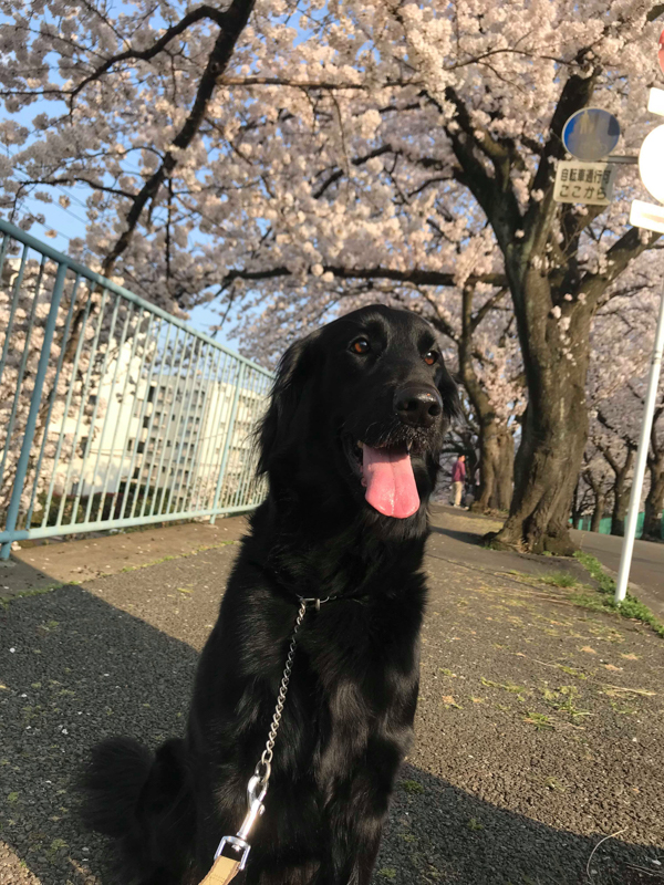 丹羽さんが日常で撮影したという1枚