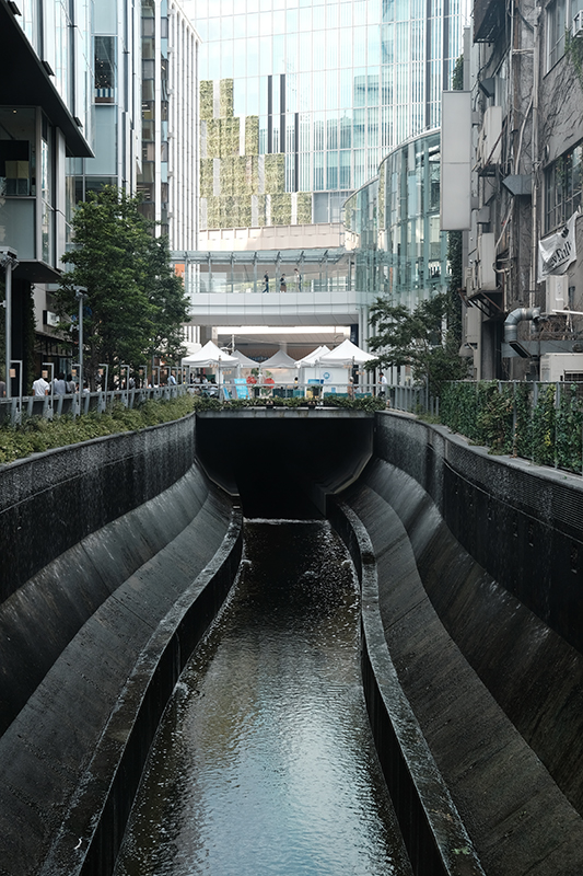 渋谷川。暗闇からその姿を表す<br><span class="fnt-85">X-Pro2 / XF35mmF2 R WR / 絞り優先AE（1/60秒・F2.0・0.0EV） / ISO 320</span>