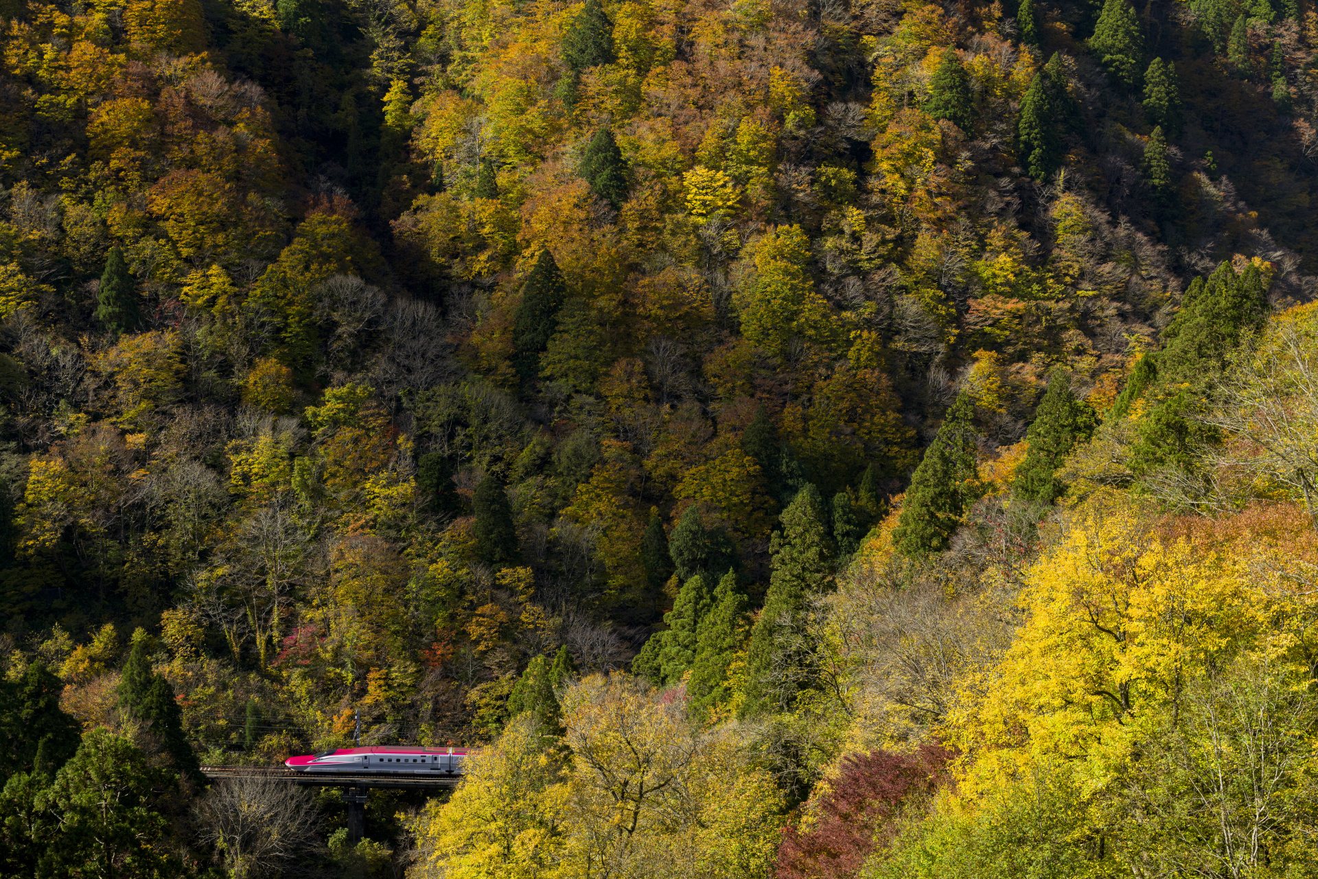 LEICA SL2　VARIO-ELMARIT-SL F2.8-4/24-90mm ASPH.（45mm）　ISO 400　F5.6　1/1,000秒