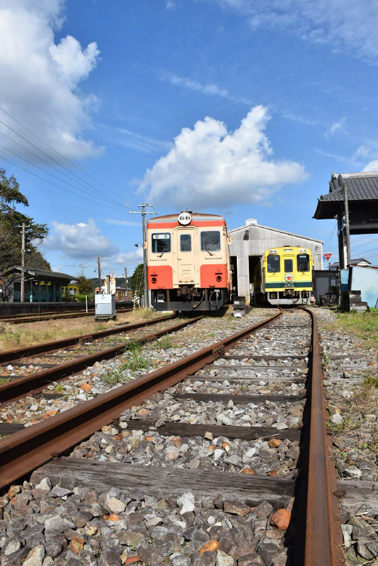 撮影：パンダヤンさん
