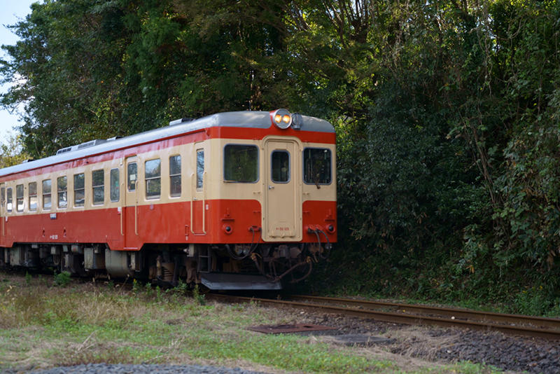 撮影：のっちさん