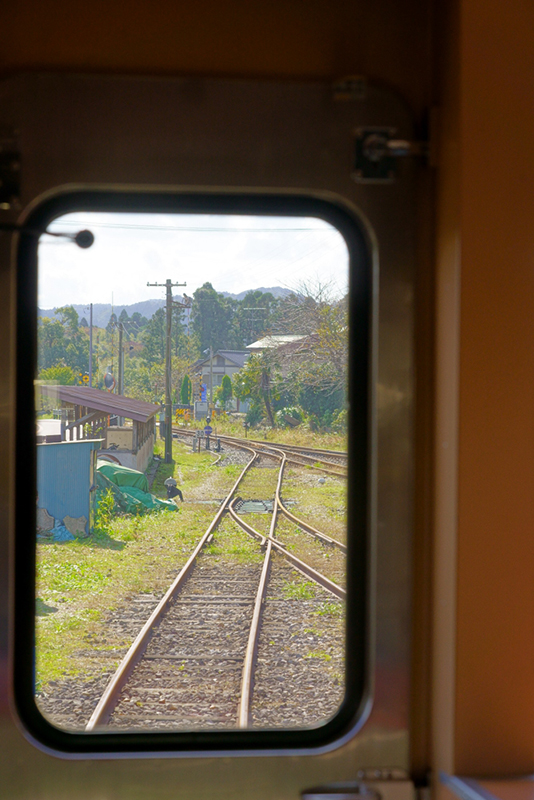 撮影：のっちさん