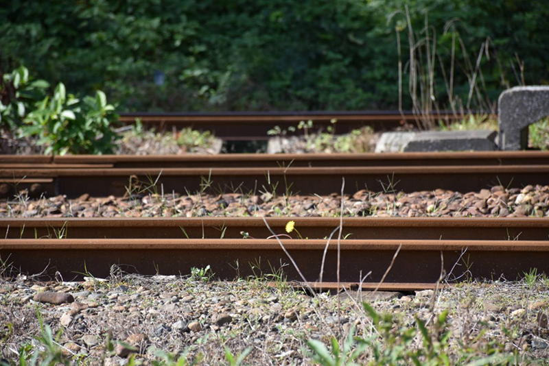 撮影：撮影：パンダヤンさん