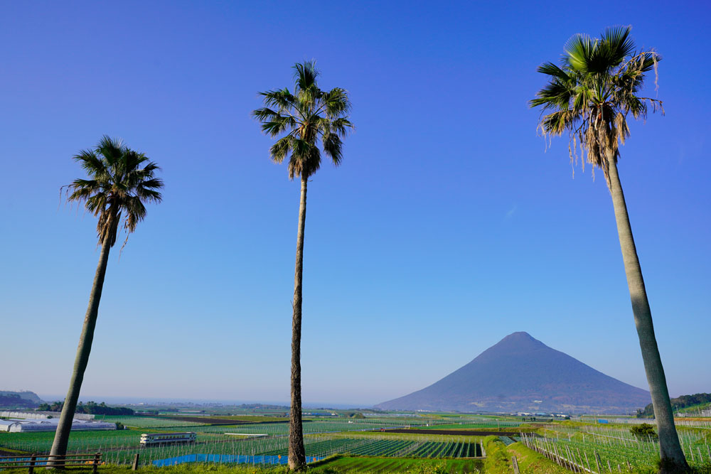 ソニーα7R III　FE 16-35mm F2.8 GM（23mm）　マニュアル（F8、1/640秒）　ISO200　WB:太陽光