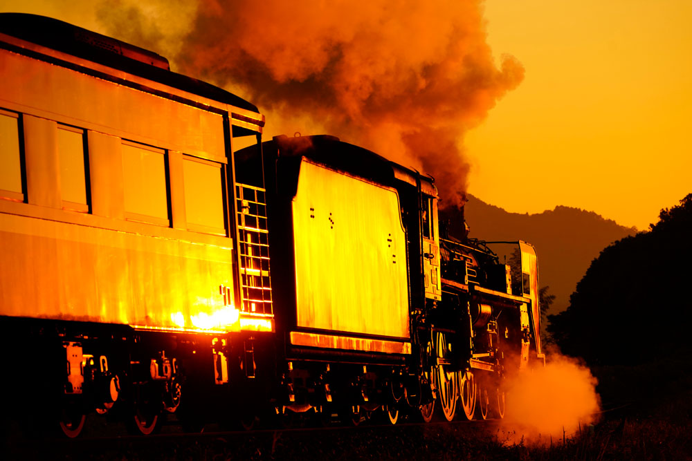 ソニーα7R III　FE 100-400mm F4.5-5.6 GM OSS（135mm）　マニュアル（F6.3、1/1,250秒）　ISO400　WB:日陰