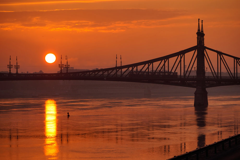 ソニーα7R III　FE 100-400mm F4.5-5.6 GM OSS（156mm）　絞り優先オート（F6.3、1/1,250秒）　ISO400　WB:太陽光