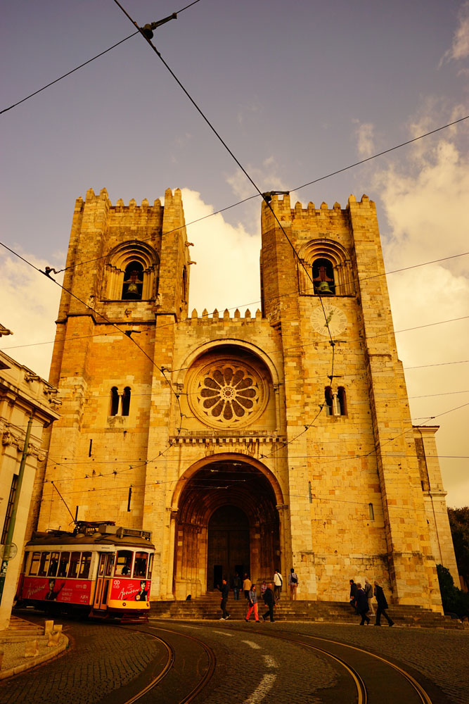 ソニーα7Ⅱ　FE 16-35mm F4 ZA OSS（29mm）　絞り優先オート（F6.3、1/1,000秒）　ISO250　WB:日陰（A+5）