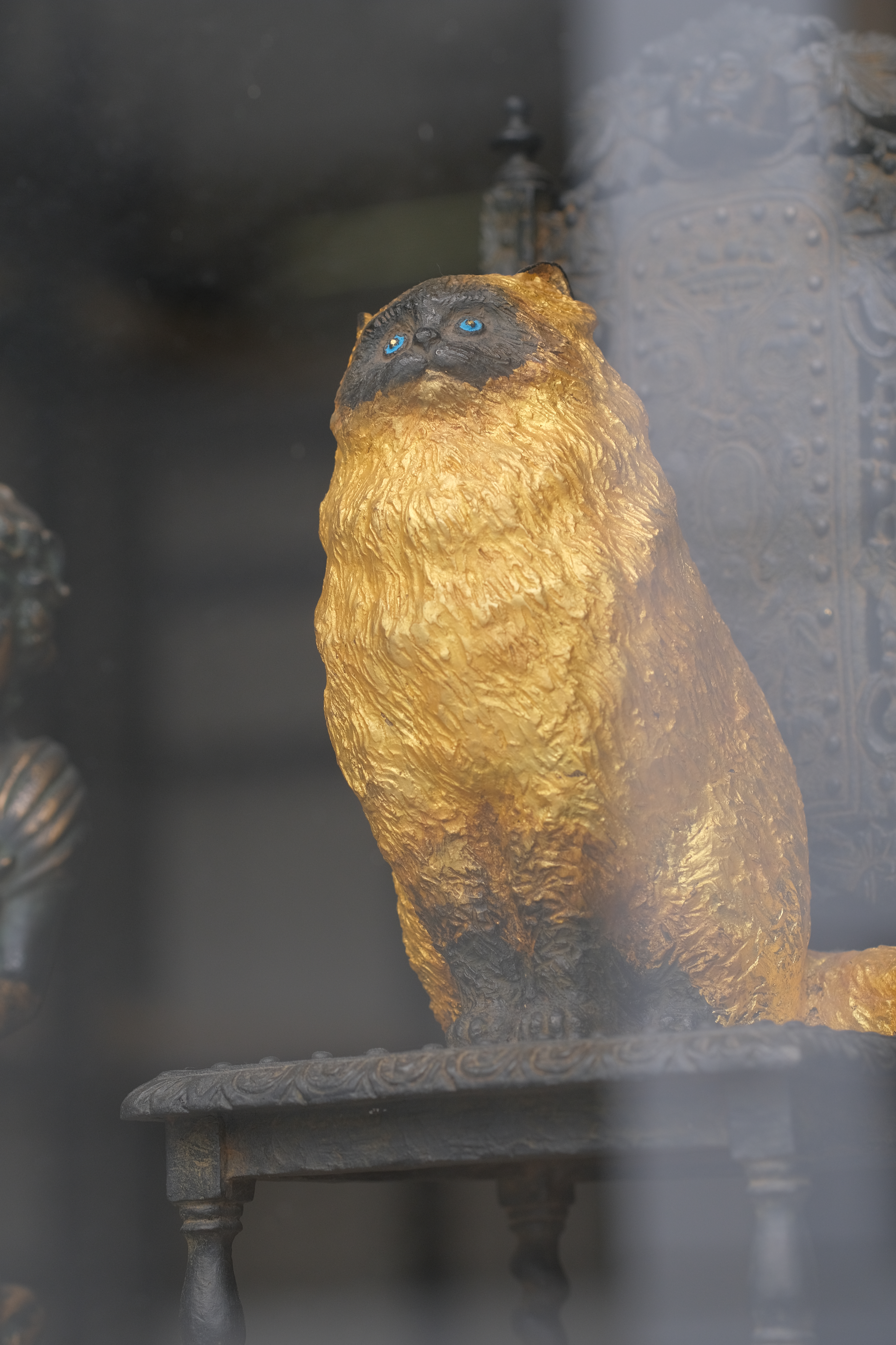 XF90mmF2R LM WR　1/210秒　F3.2　ISO 320　-0.3補正　AWB　フィルムシミュレーション：STD（PROVIA）　DR200％　H-Tn：-1　S-Tn：−2