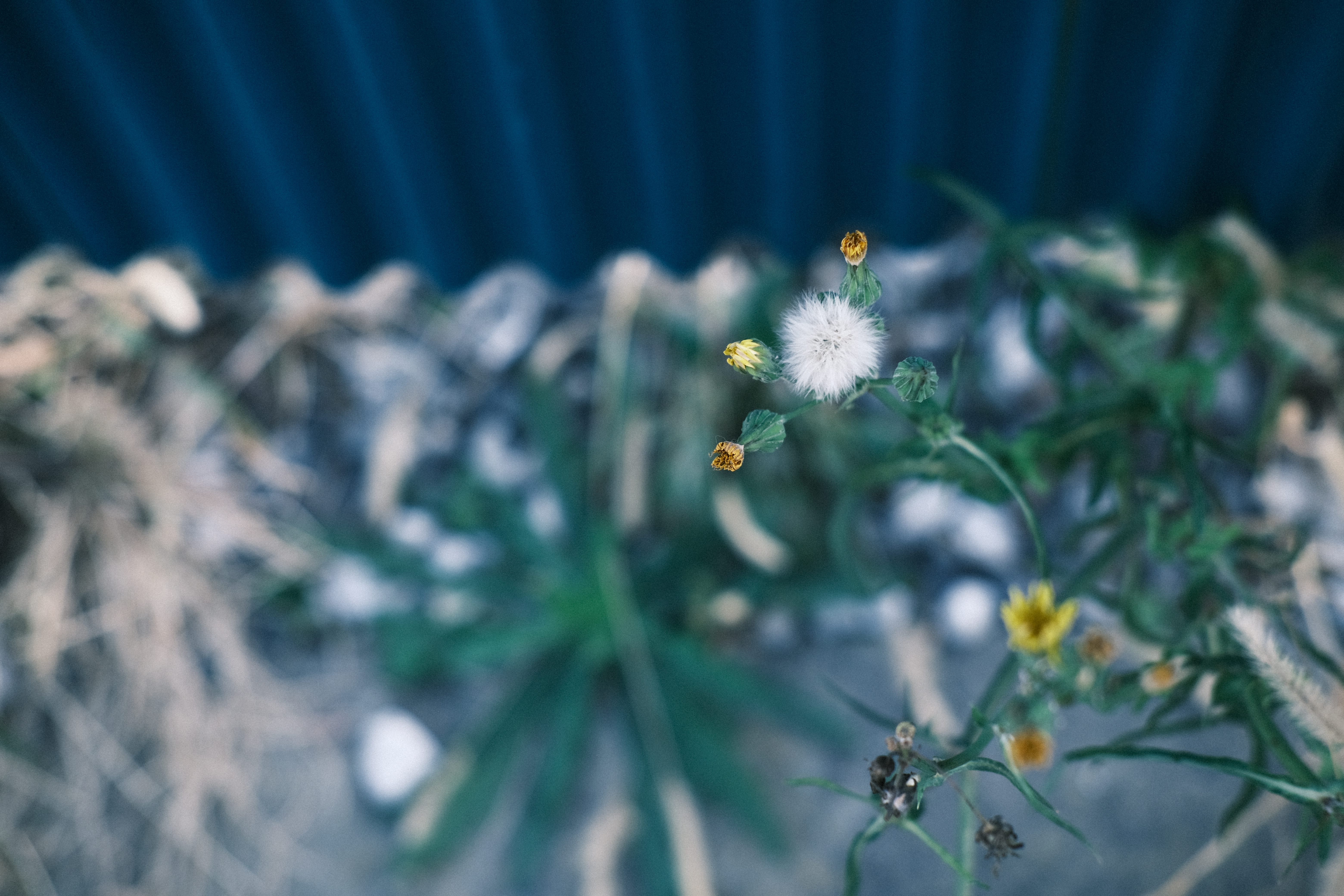 XF35mmF2R WR　ISO 160　F2.8　1/105秒