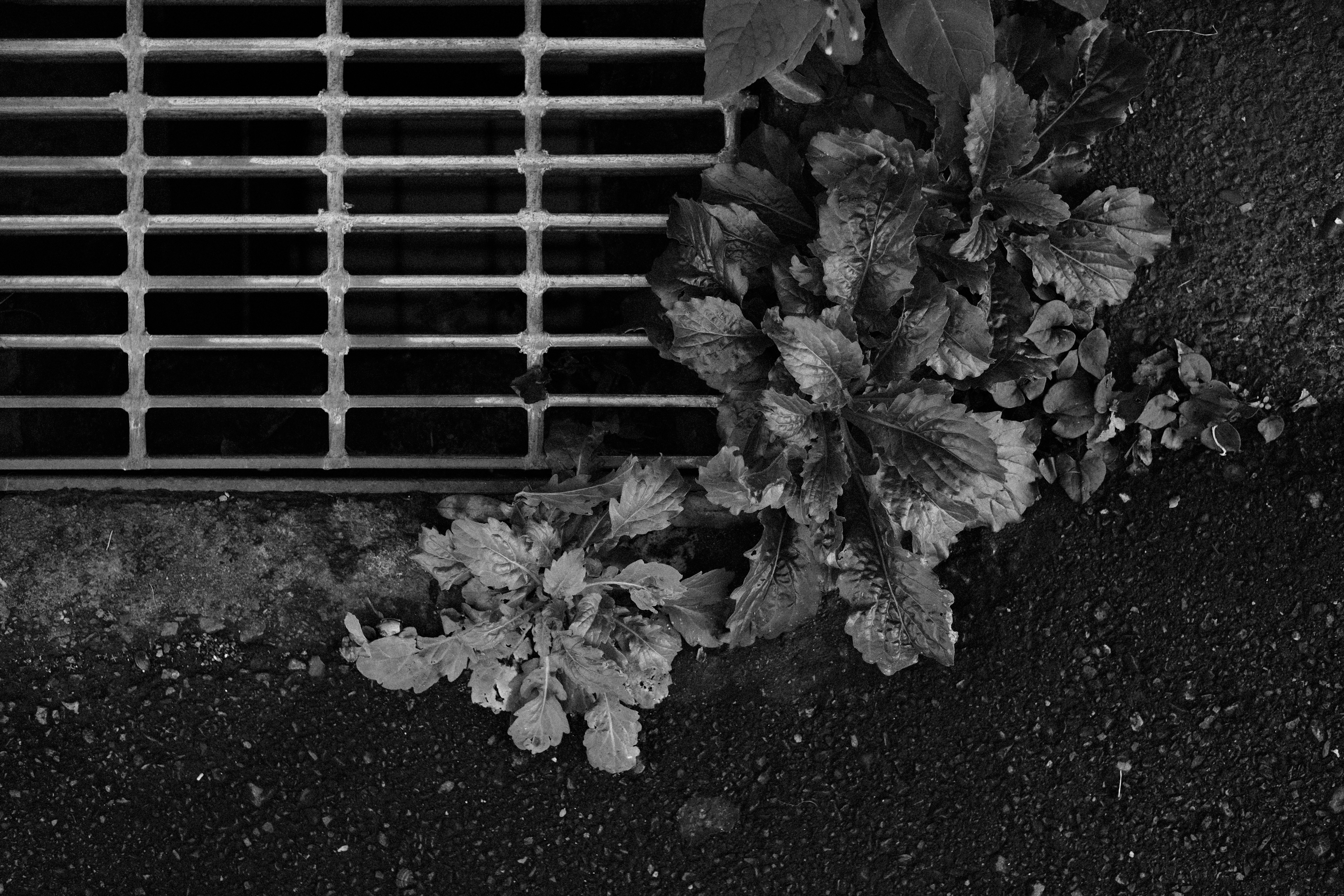 XF35mmF1.4R　ISO 400　F2.8　1/680秒