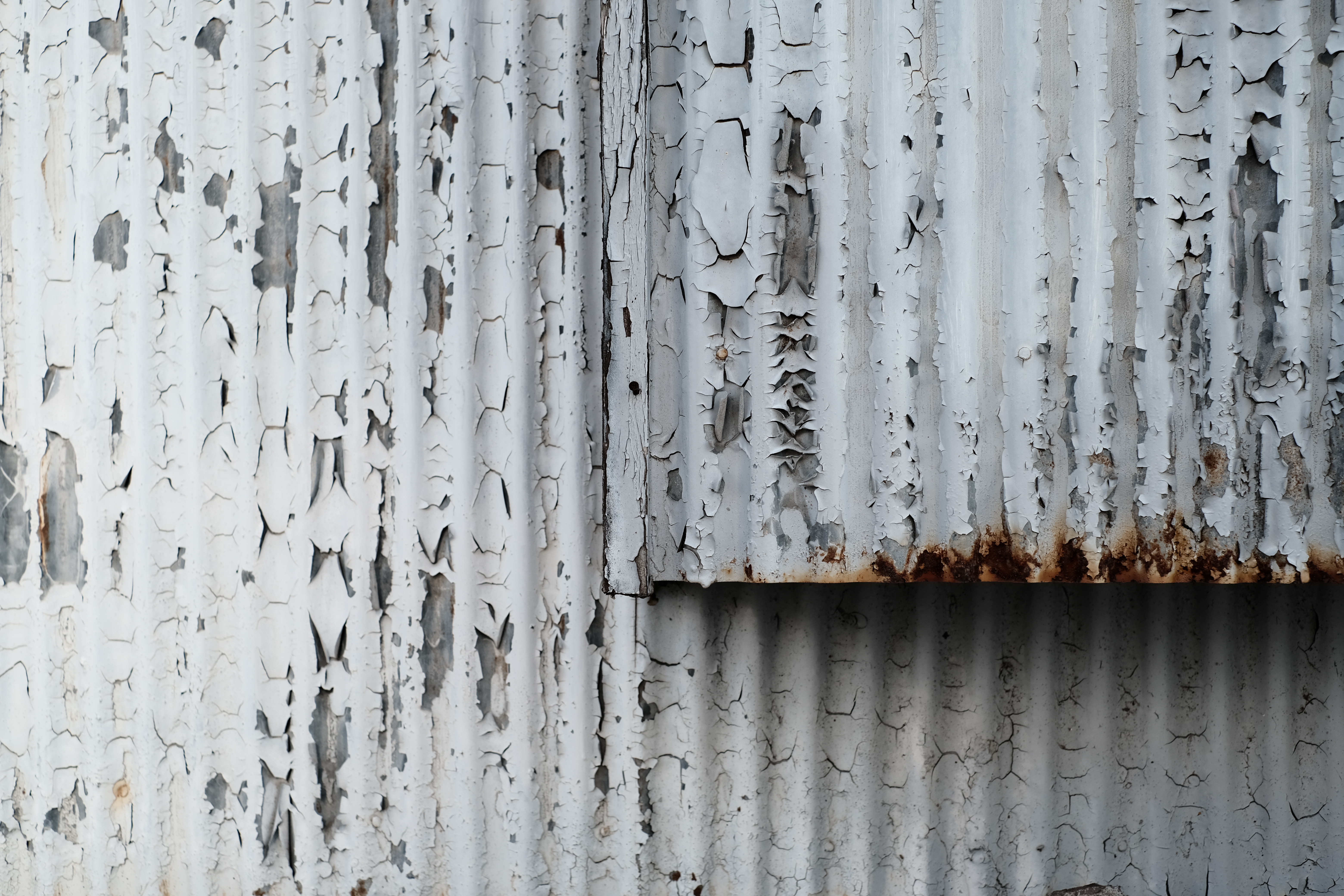 XF35mmF1.4R　ISO 160　F4.5　1/200秒