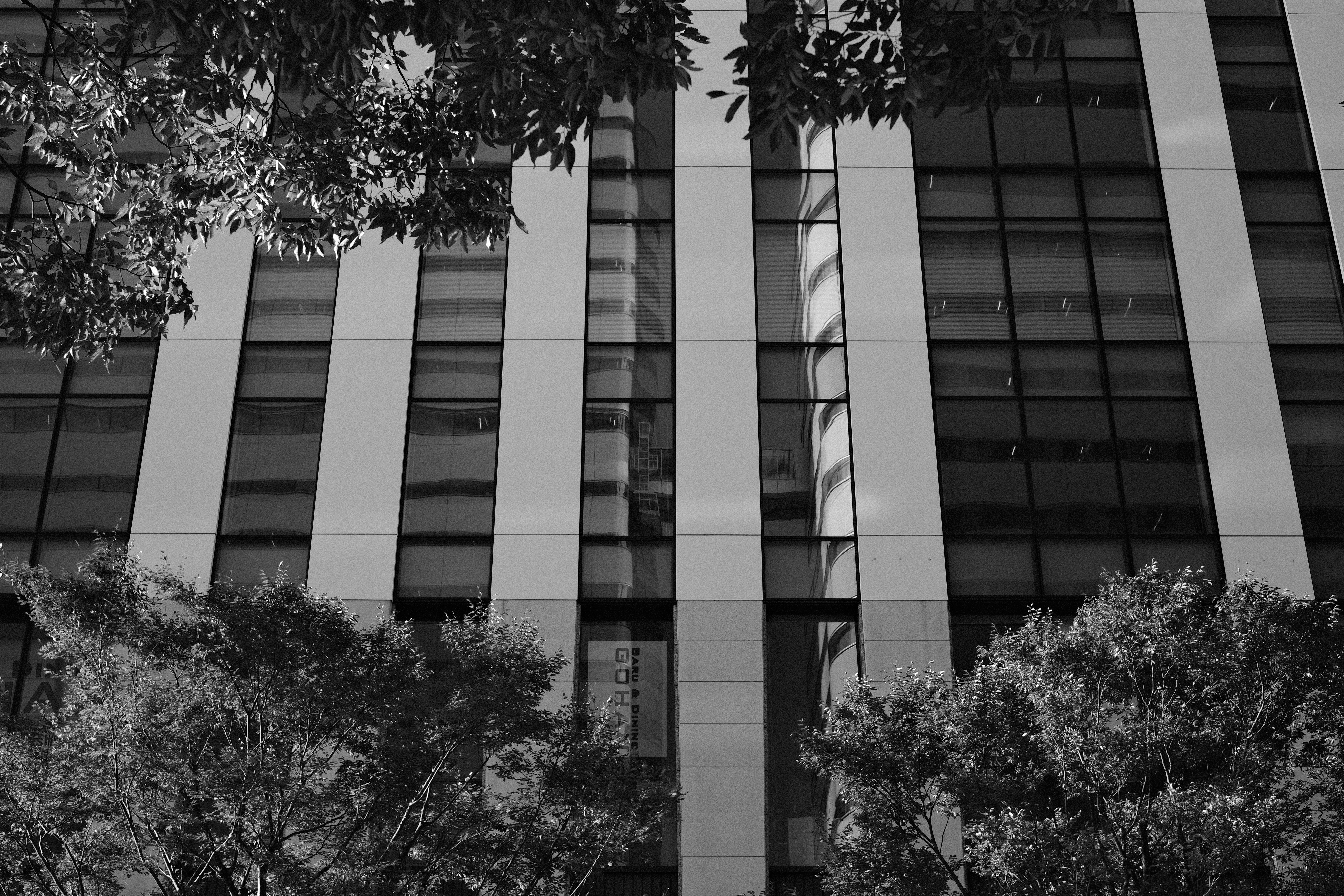 XF35mmF1.4R　ISO 400　F5.6　1/450秒