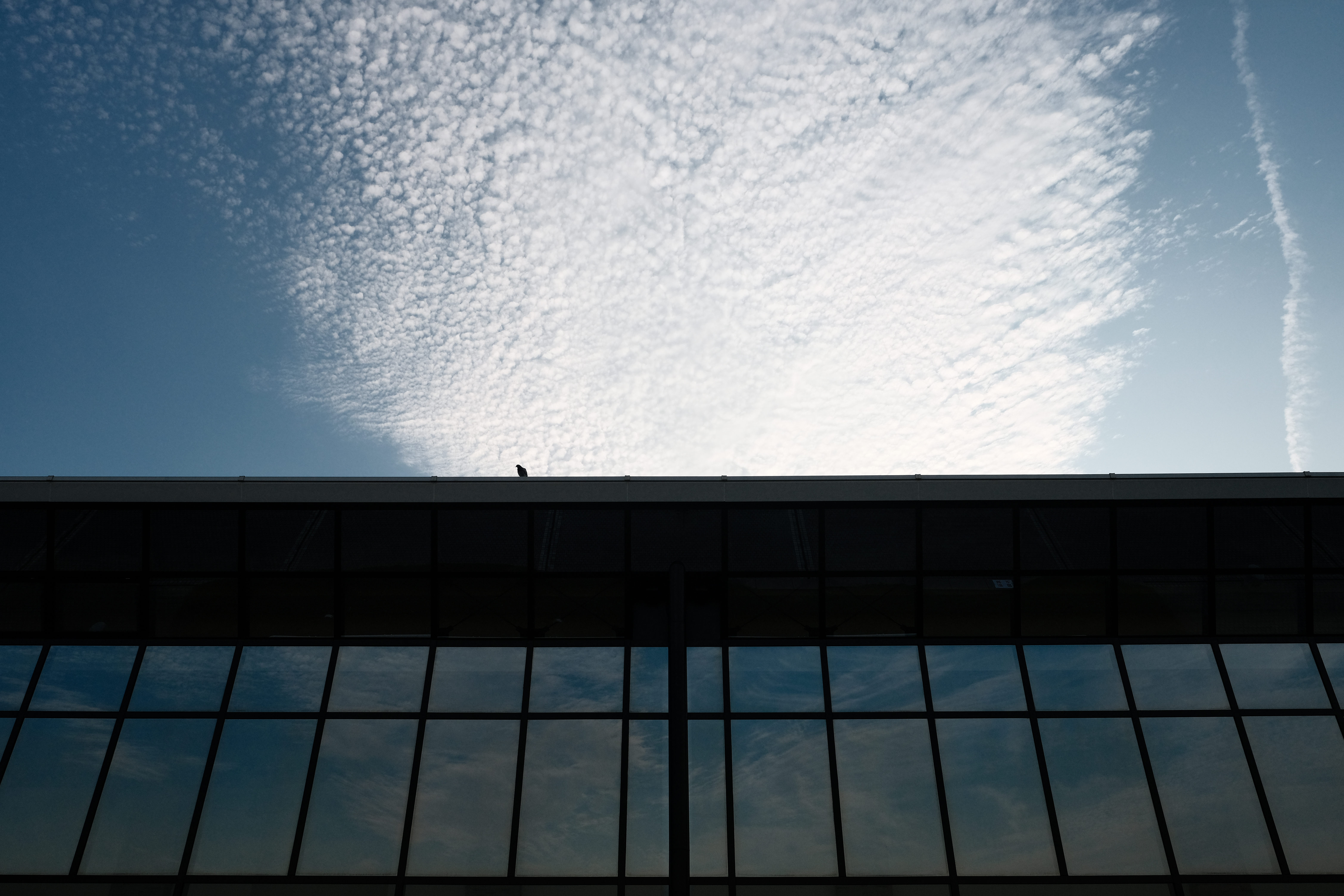 XF16mmF1.4R LM WR　ISO 500　F5.6　1/1,900秒