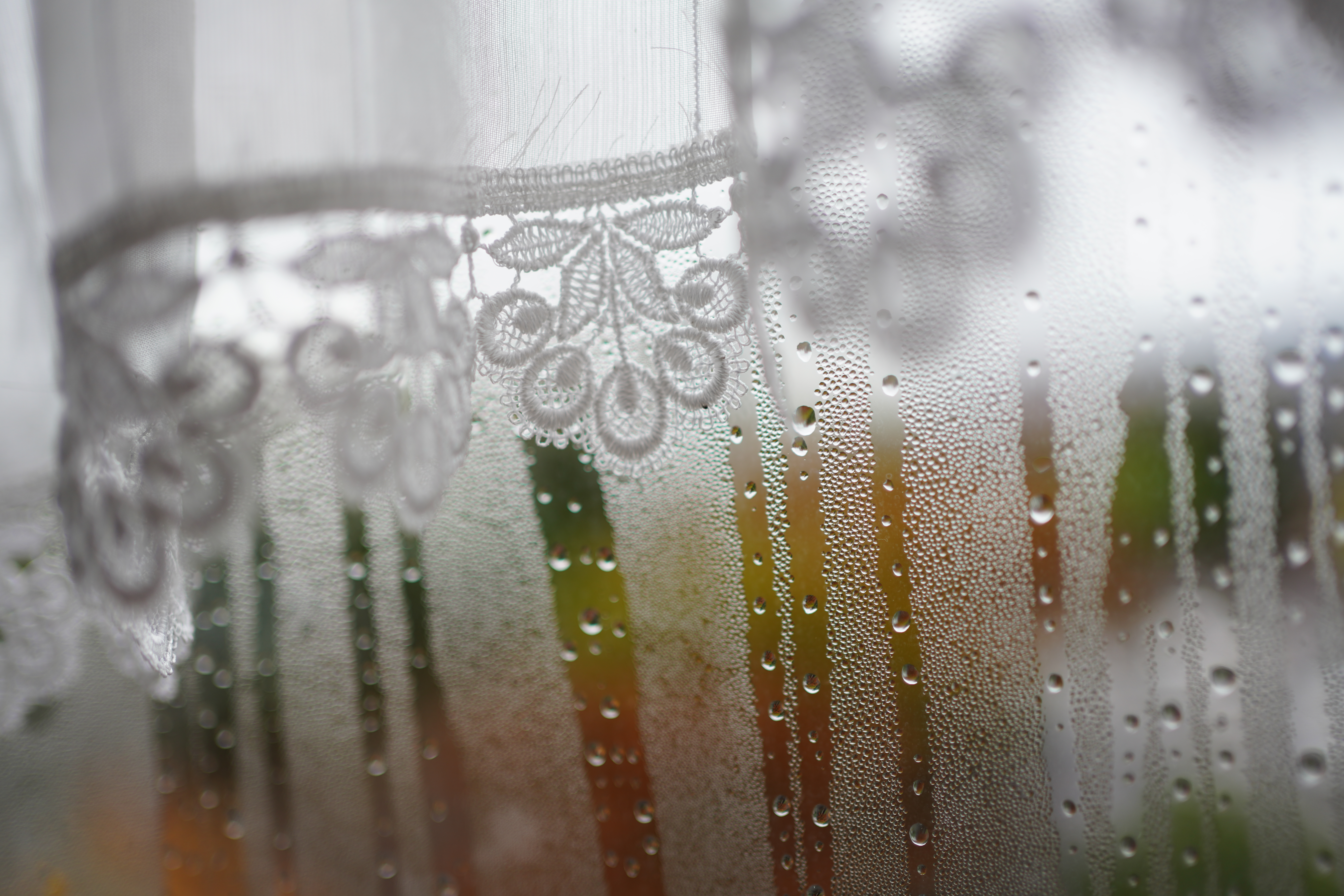 ソニーα7R Ⅳ / FE 35mm F1.8 / 絞り優先AE（1/640秒・F1.8・+ 0.3EV） / ISO 100