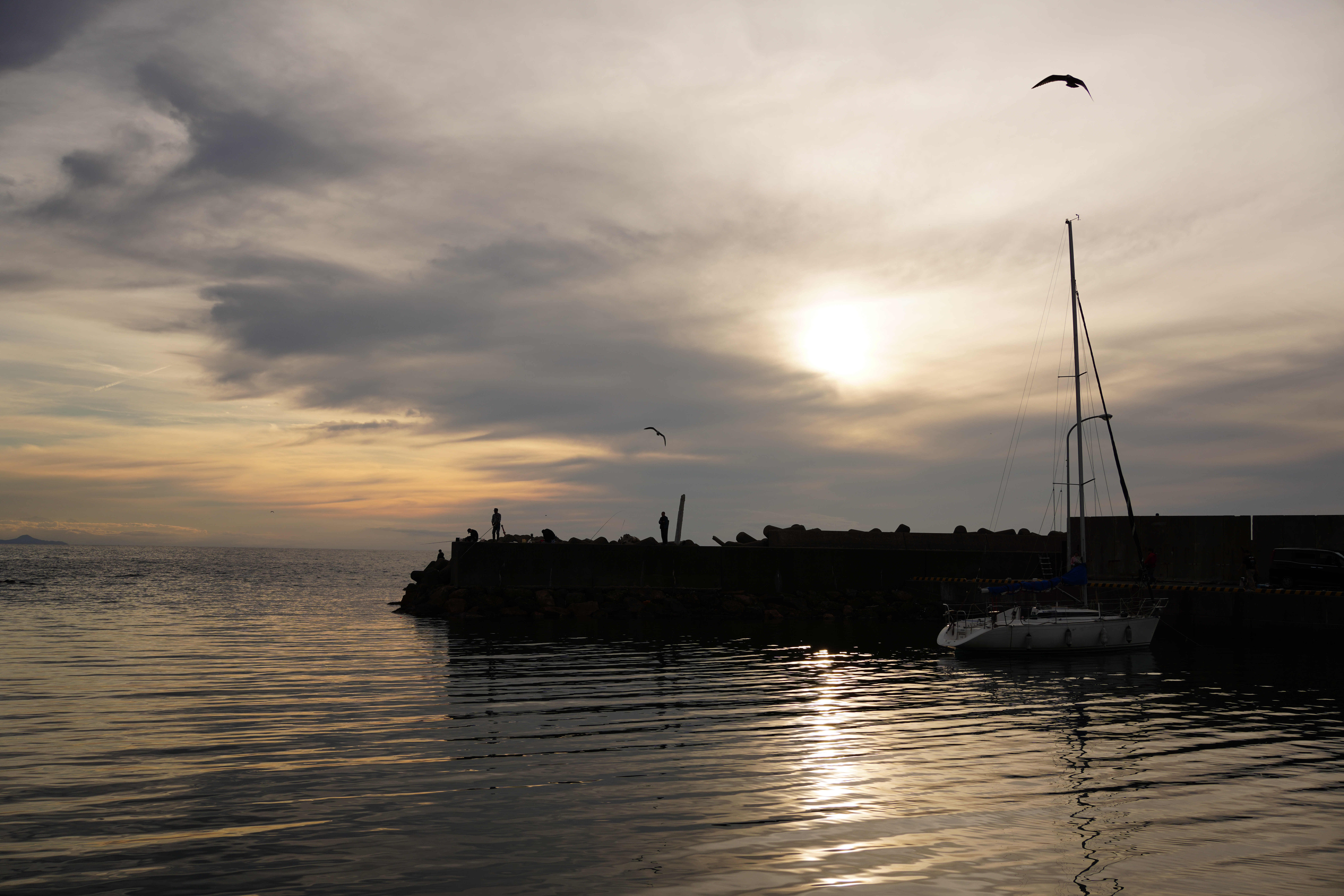 ソニーα7R Ⅳ / FE 35mm F1.8 / 絞り優先AE（1/250秒・F9.5・-0.5EV） / ISO 400