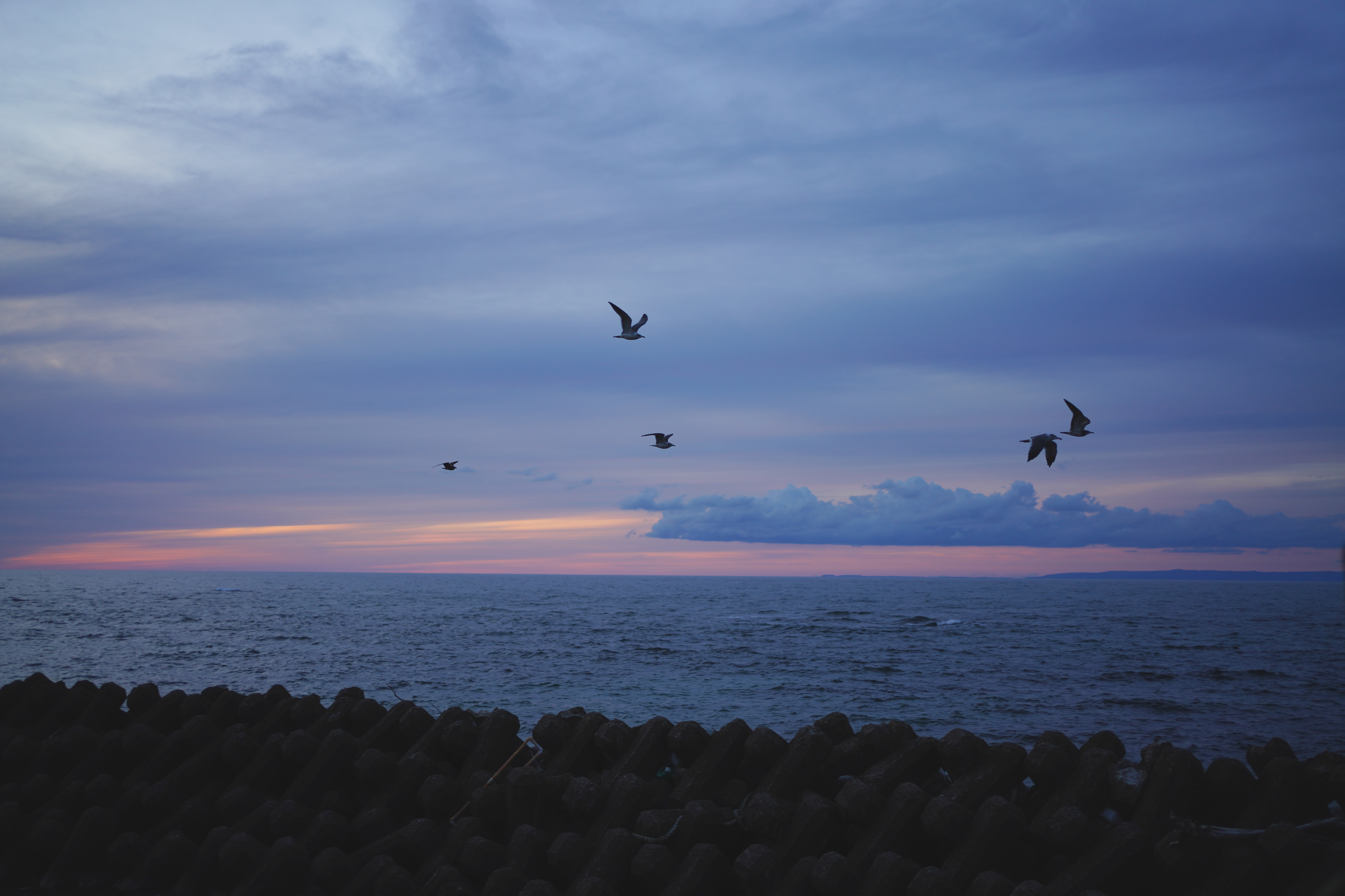 ソニーα7R Ⅳ / FE 35mm F1.8 / 絞り優先AE（1/500秒・F1.8・-0.5EV） / ISO 400