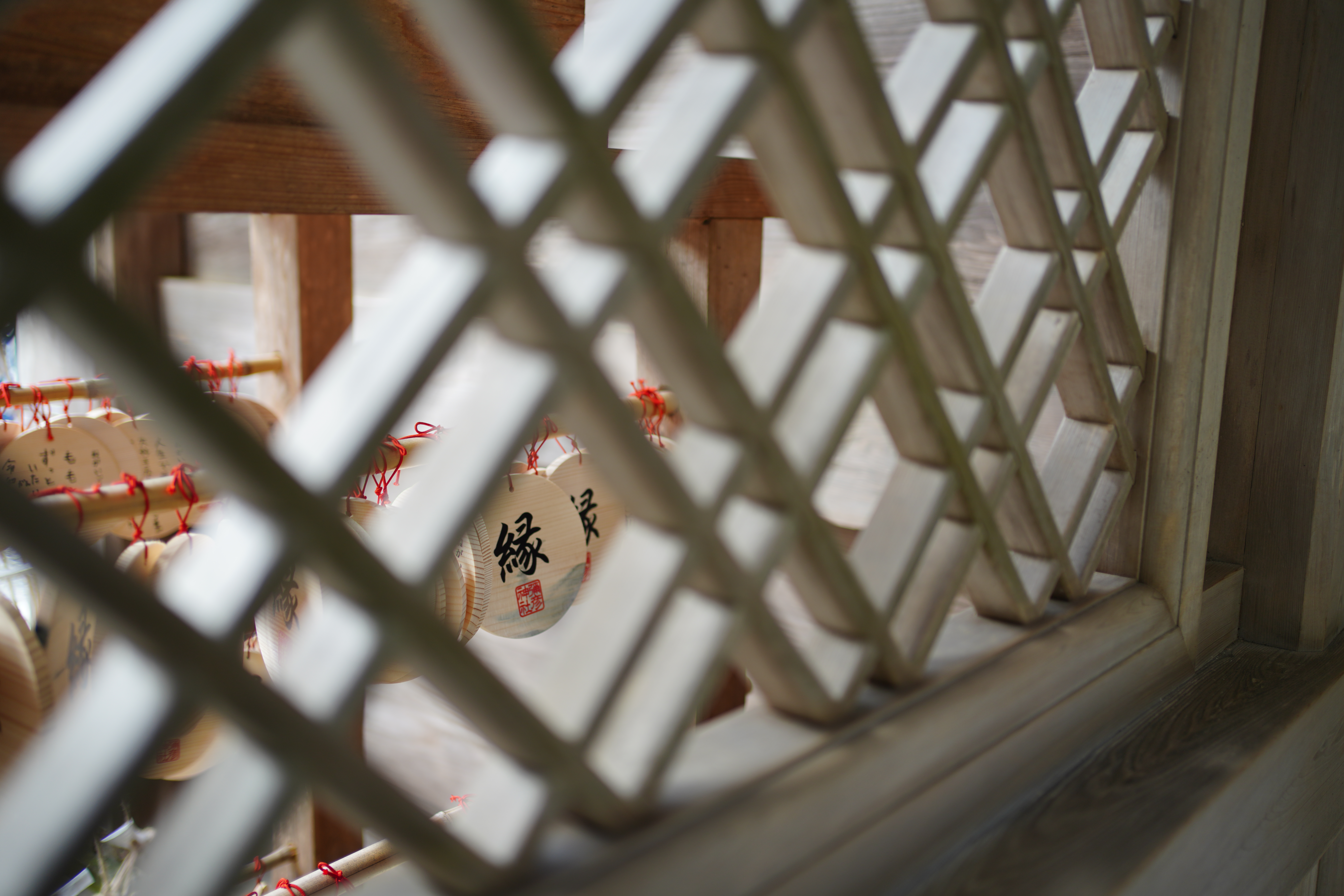 ソニーα7R Ⅳ / FE 35mm F1.8 / 絞り優先AE（1/30秒・F1.8・+0.5EV） / ISO 100