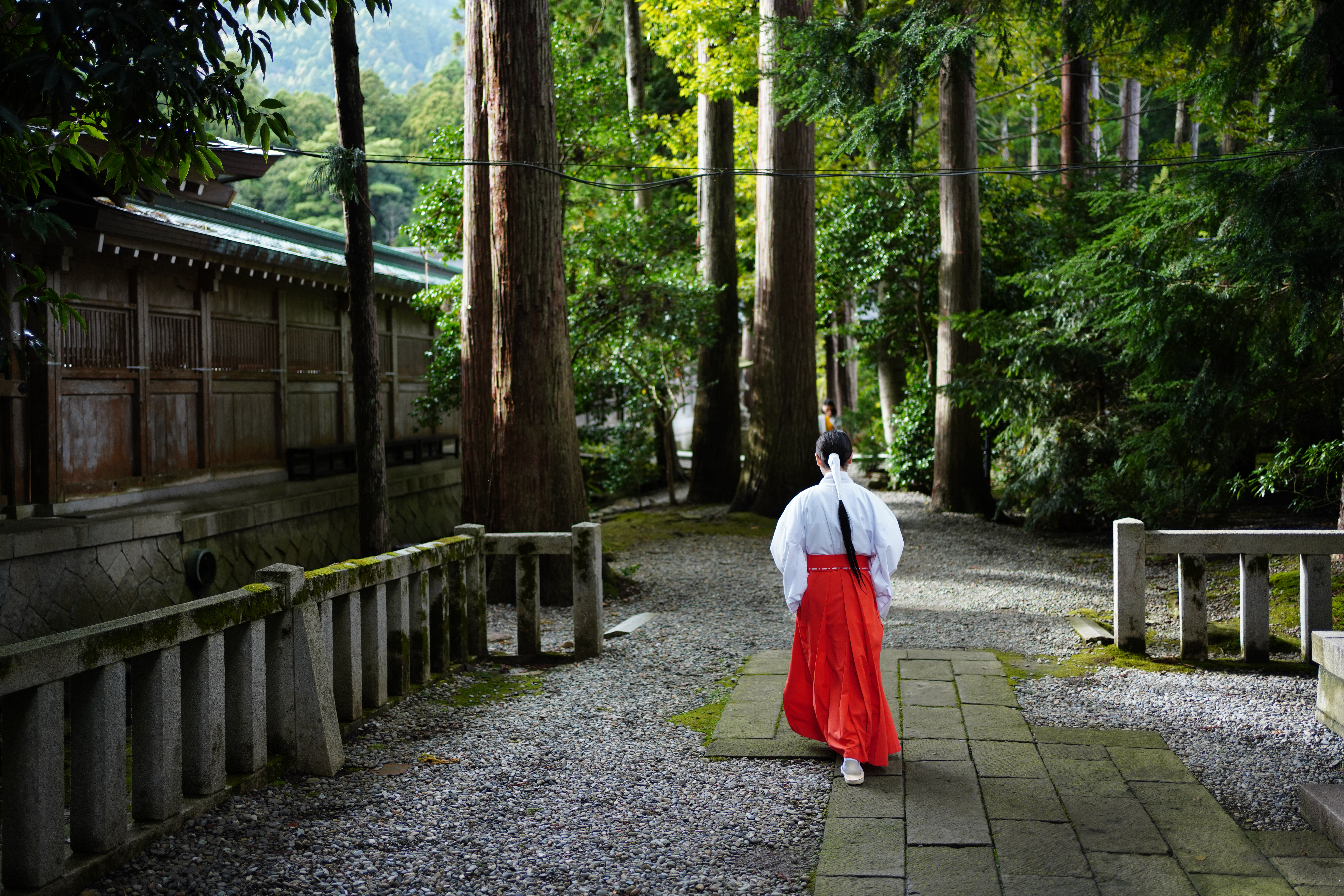 ソニーα7R Ⅳ / FE 35mm F1.8 / 絞り優先AE（1/750秒・F1.8・±0EV） / ISO 400