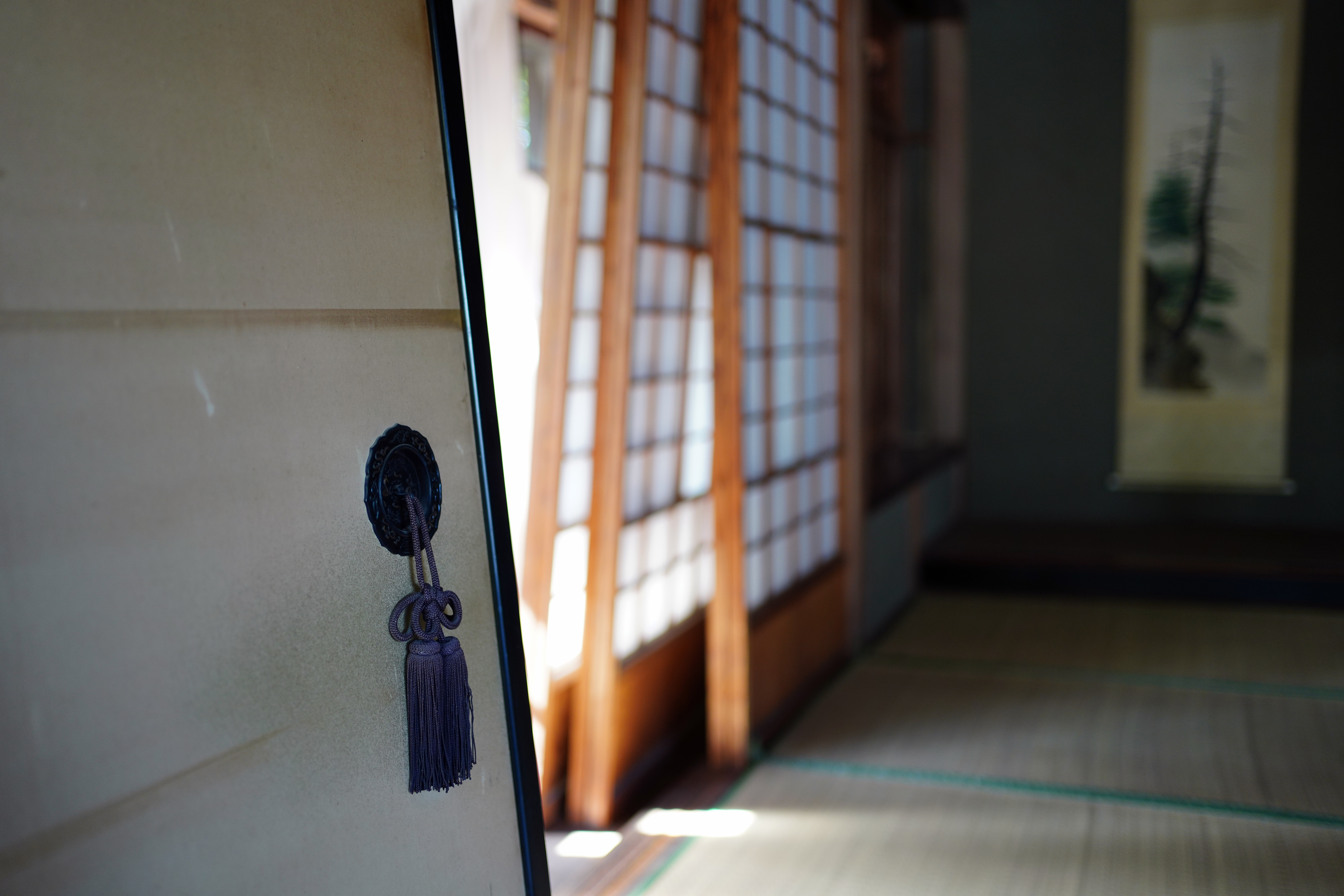 ソニーα7R Ⅳ / FE 35mm F1.8 / 絞り優先AE（1/125秒・F1.8・+0.5EV） / ISO 400