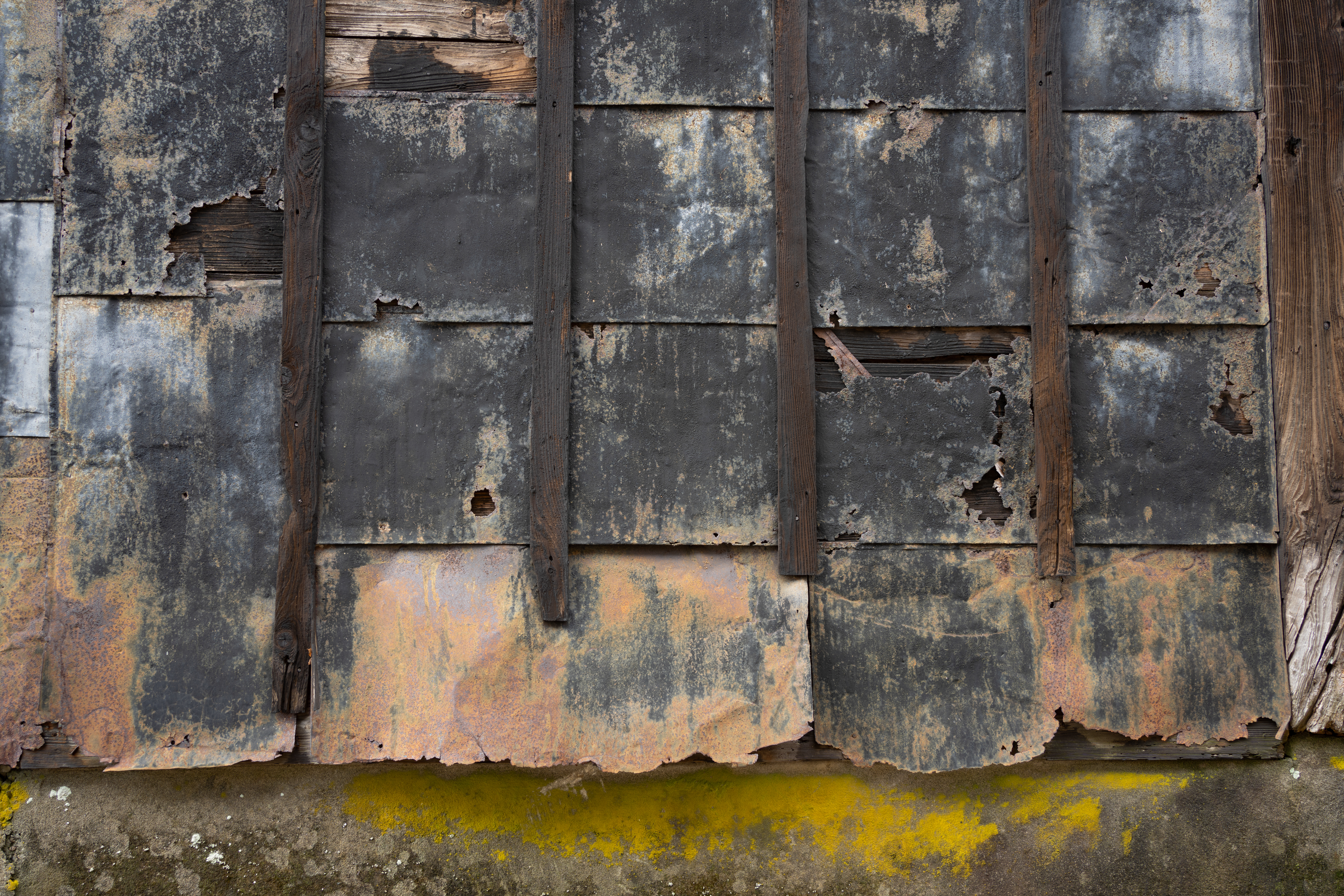 ソニーα7R Ⅳ / FE 35mm F1.8 / 絞り優先AE（1/30秒・F5.6・-0.5EV） / ISO 100