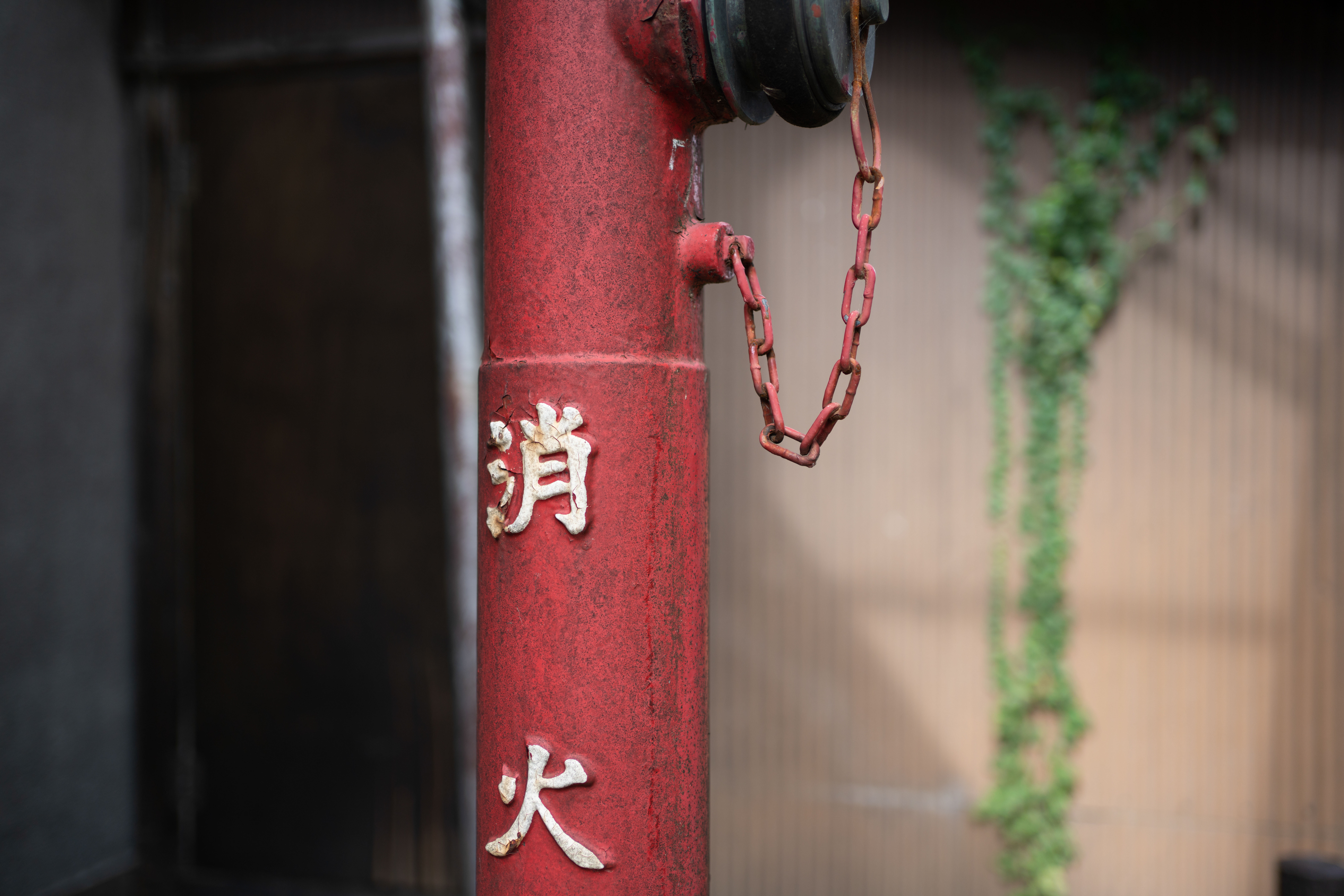 ソニーα7R Ⅳ / FE 35mm F1.8 / 絞り優先AE（1/750秒・F1.8・±0EV） / ISO 100