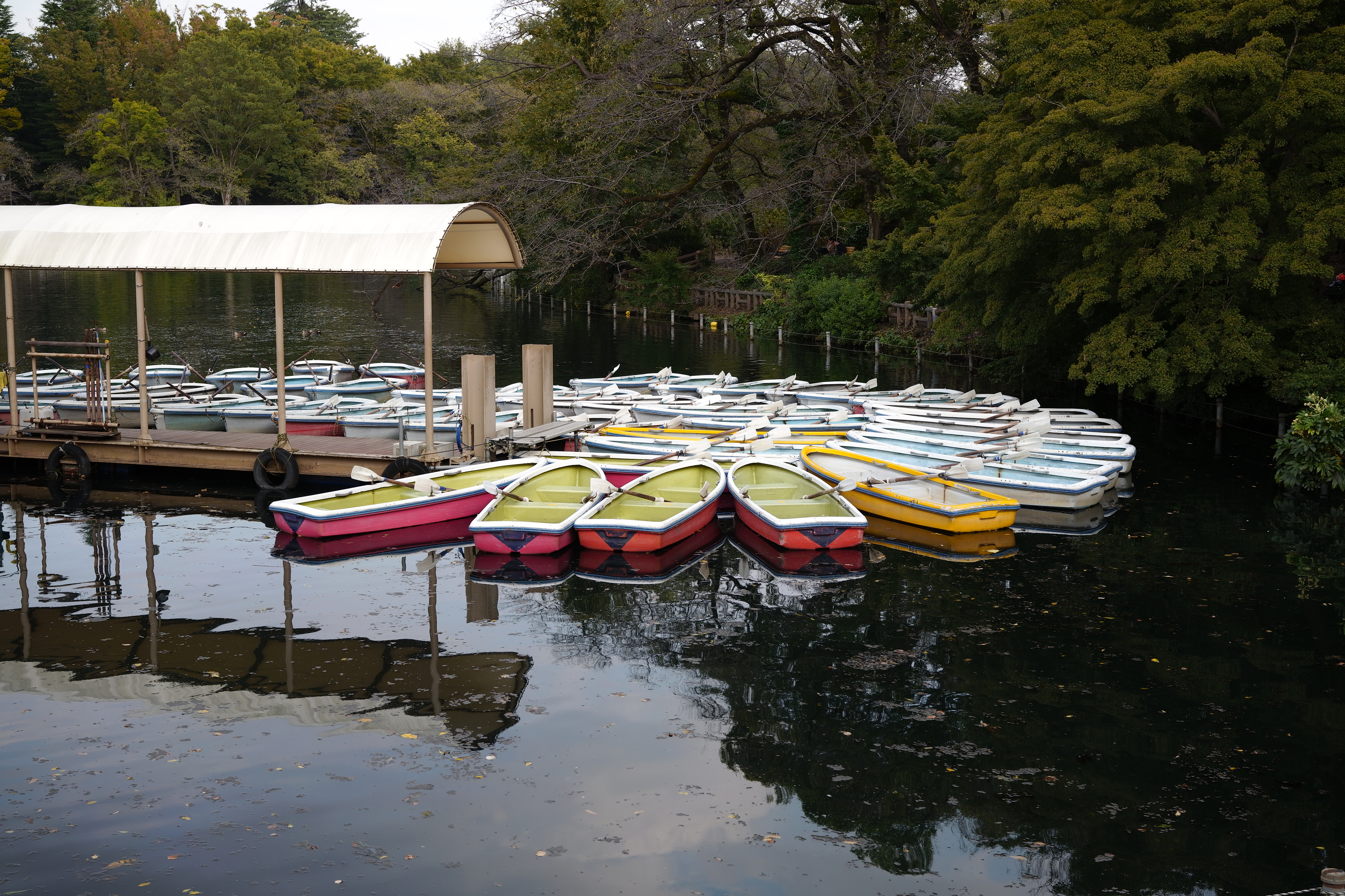 絞りはF5.6。非常にシャープで、高い解像力が得られている。ベイヤーセンサーではあるが、SIGMAを感じさせる写りだ。カラーモードはスタンダード。<br>SIGMA fp　45mm F2.8 DG DN　ISO 100　F5.6　1/100秒