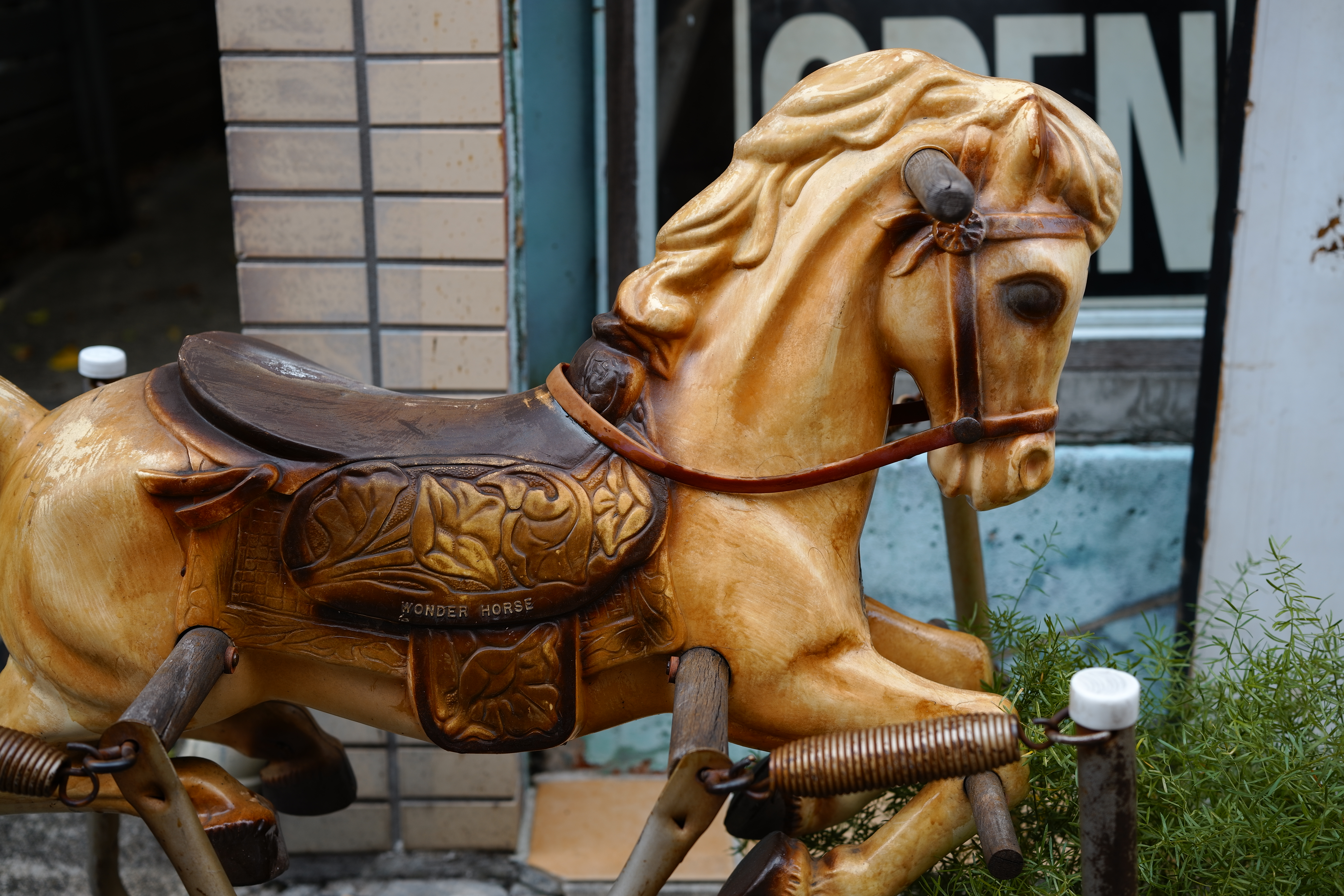 カラーモードをFOVクラシックイエローに設定。馬の遊具の黄色みが深くなり、その他は渋い色調だ。Foveon X3を思わせる重厚な仕上がりになる。<br>SIGMA fp　45mm F2.8 DG DN　ISO 100　F4　1/100秒