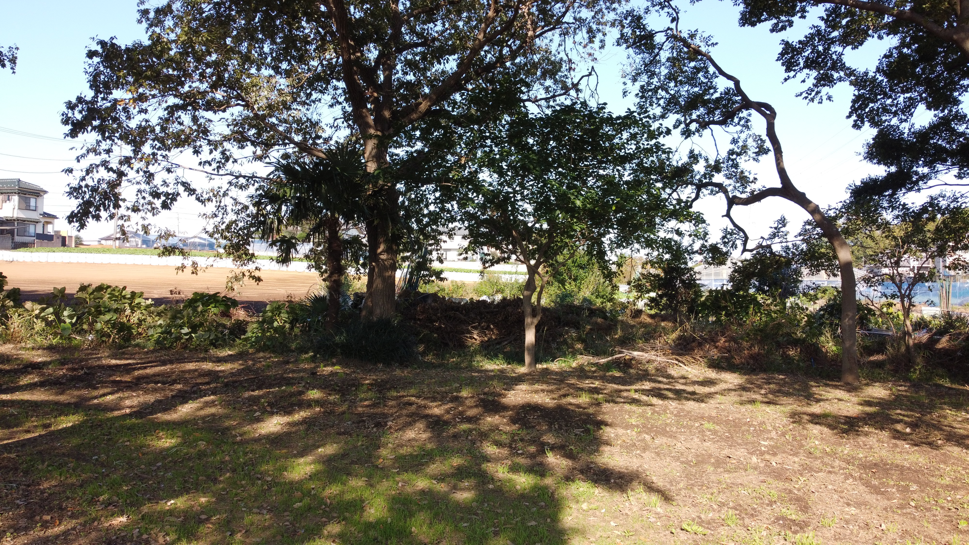 Mavic Mini / 1/320秒 / F2.8 / ISO 100