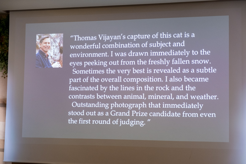 Thomas Vijayan氏作品についてのスティーブン・フレーリー氏によるコメント