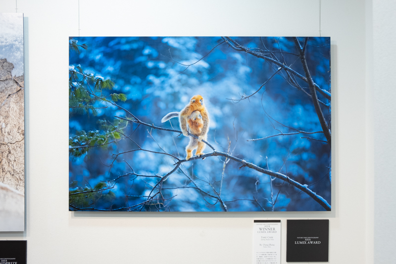 LUMIX Award受賞作「Take Care」