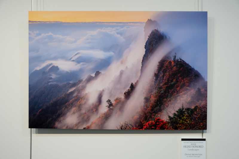 「Divine Mountain」