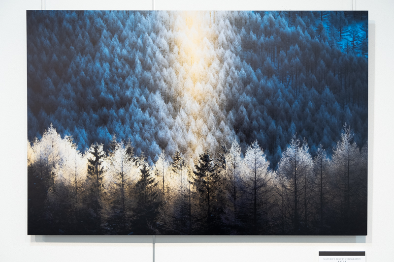 「Light and Shadow」