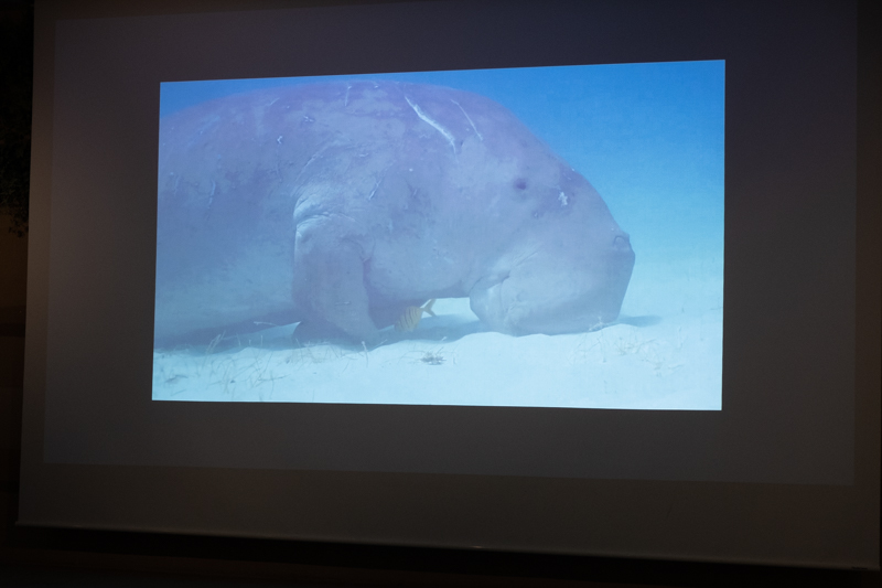 「Eye Contact」の一場面