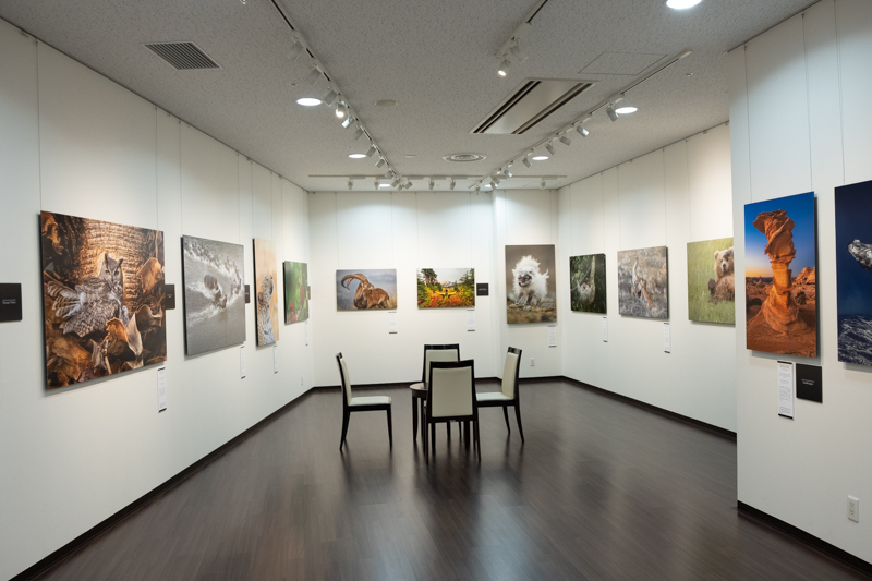 2つの展示室の向かいにも作品展示室がある。展示は全部で3室にわかれている