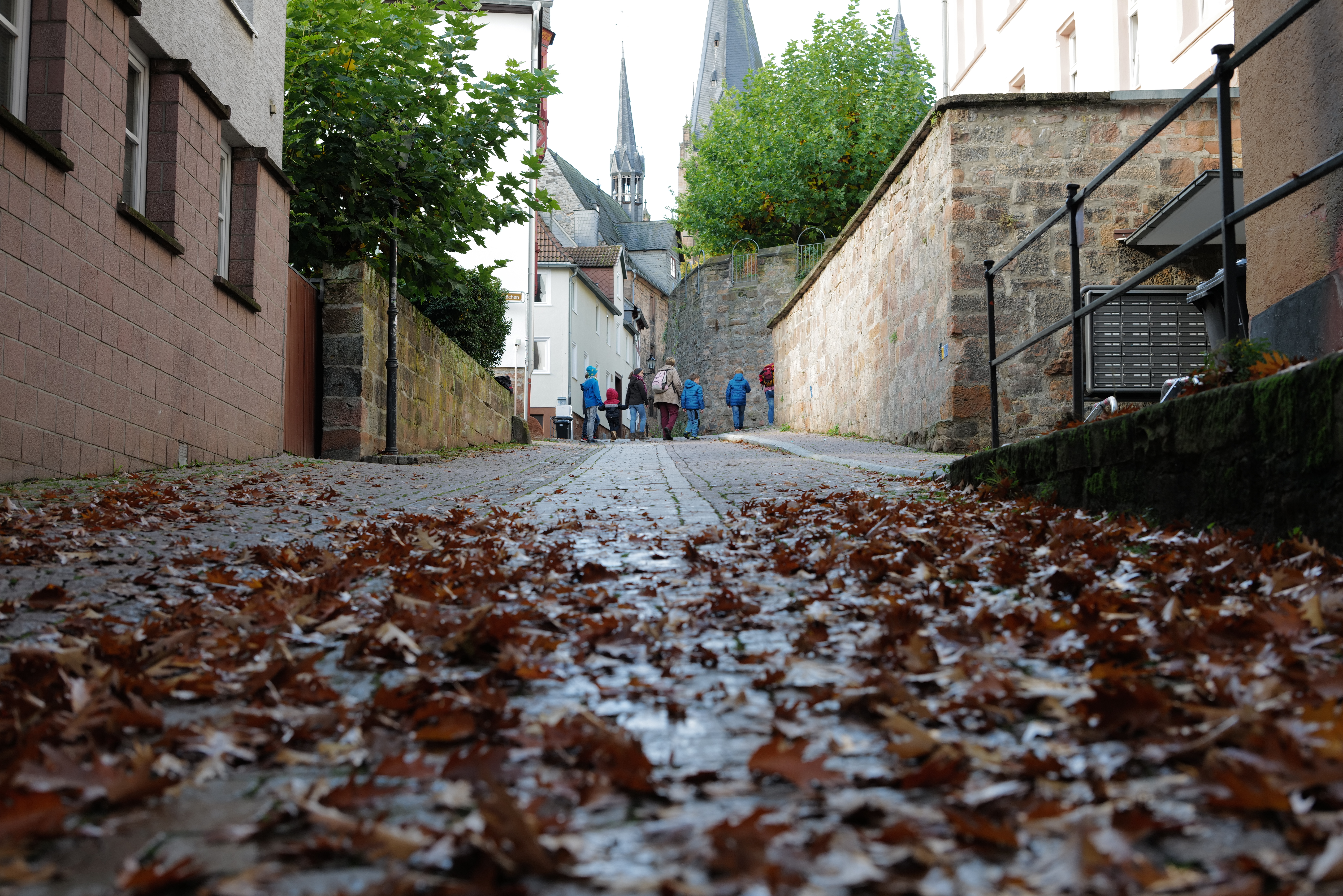 LEICA SL2　SUMMILUX-SL F1.4/50mm ASPH.　ISO 320　F5　1/125秒
