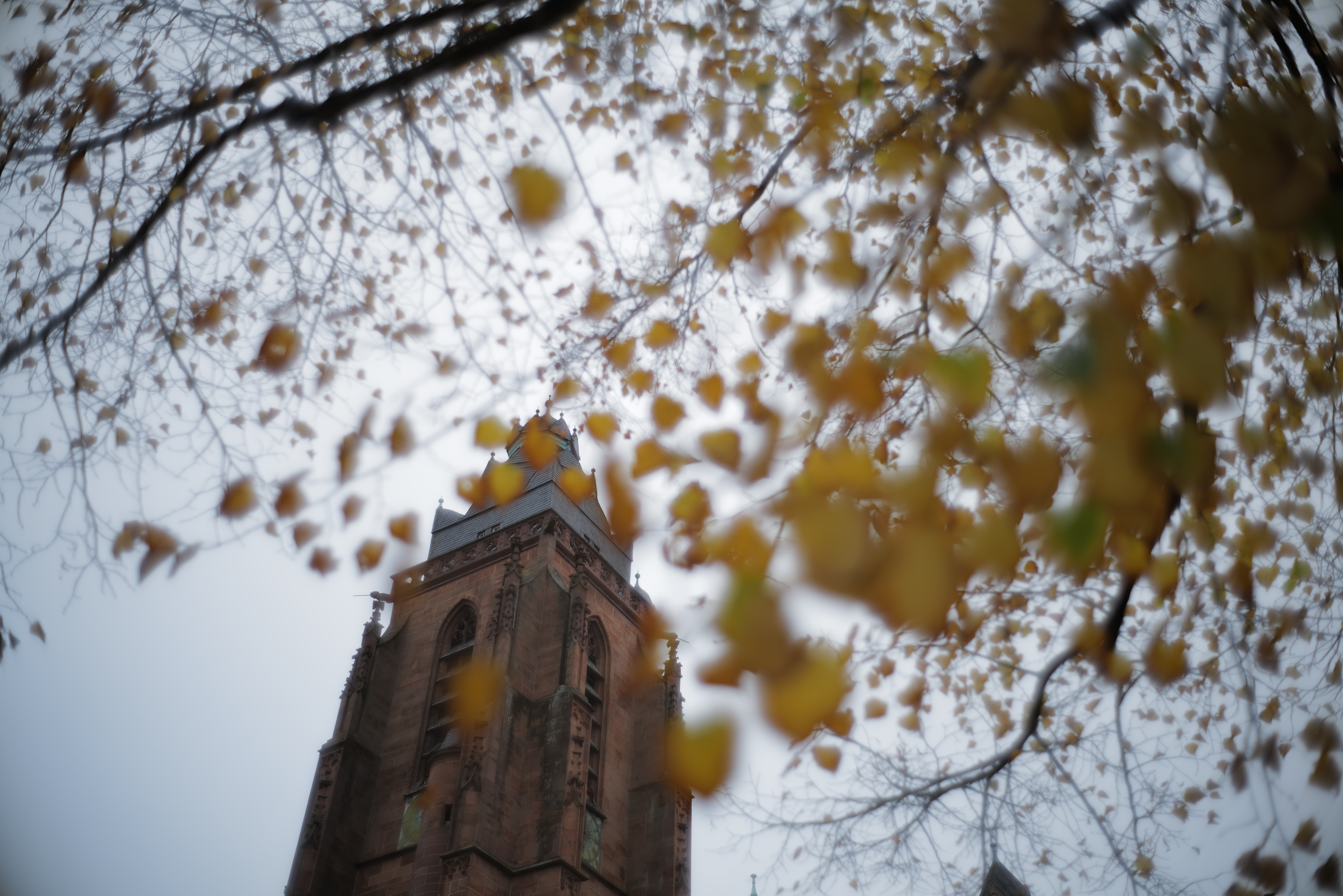LEICA SL2　SUMMILUX-M F1.4/35mm　ISO 100　F2.4　1/200秒