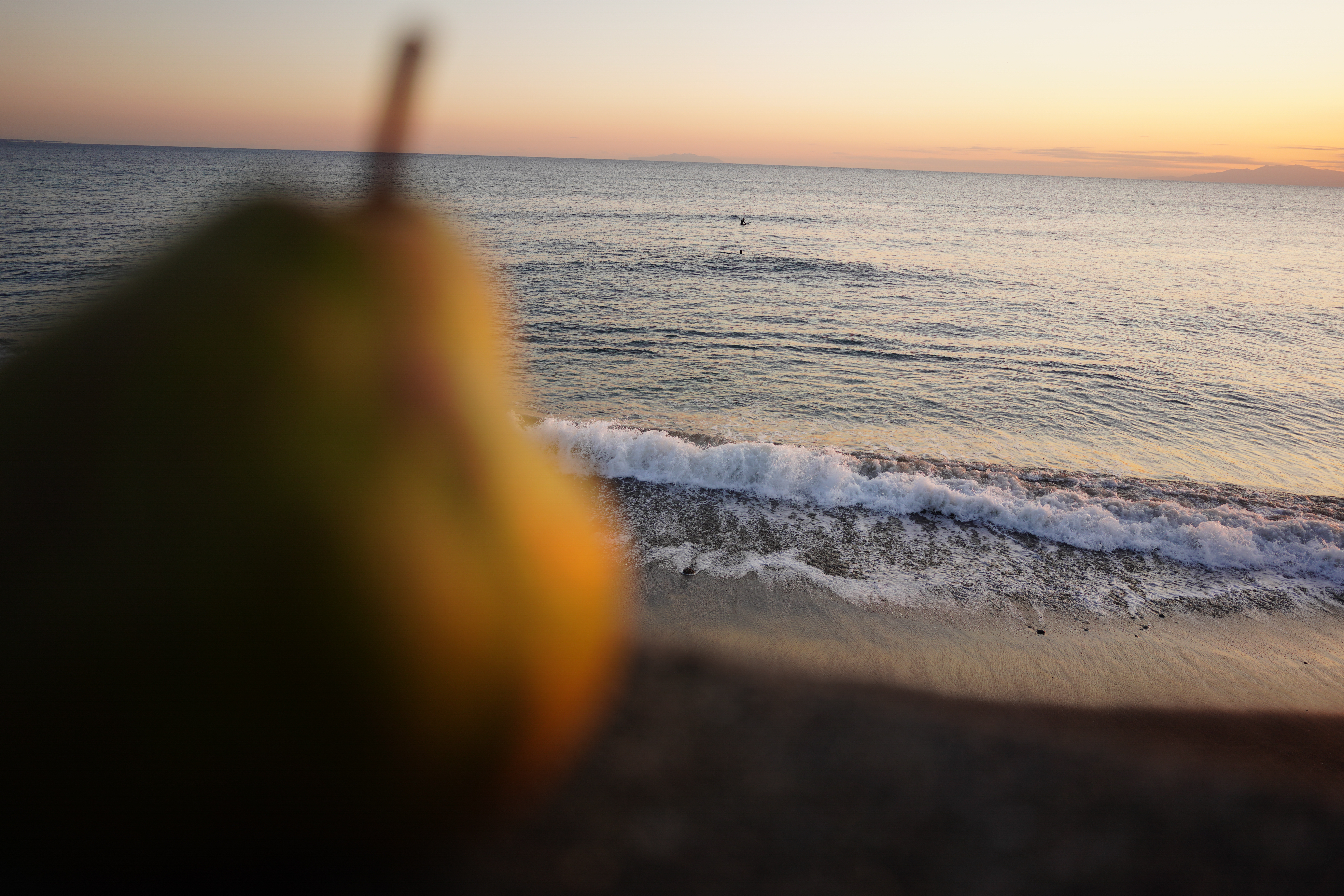 ソニーα7R IV / 24mm F/2.8 Di III OSD M1:2 / 絞り優先AE（1/200秒・F2.8・−0.2EV） / ISO 100