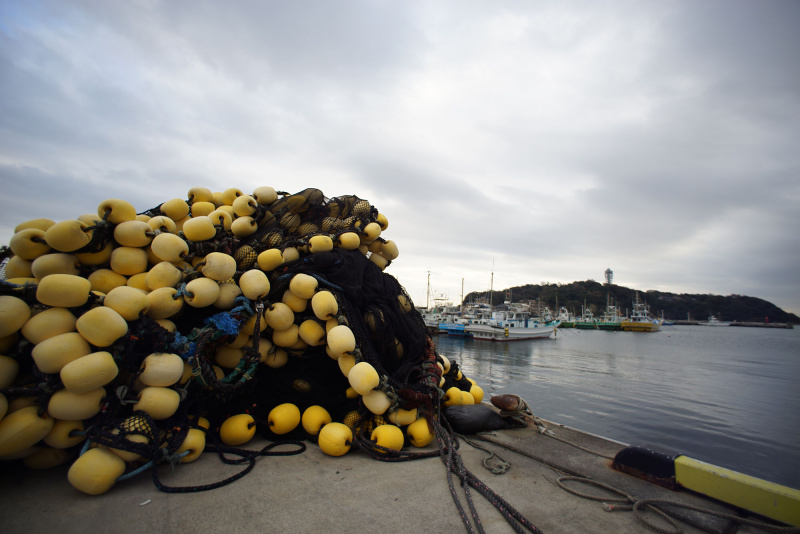 同じ焦点距離の超広角レンズでも、一眼レフ用のレトロフォーカスタイプだと、射出ひとみが遠くなるため、シェーディングは起こらない。AI Nikkor 15mm F3.5S / ソニーα7R