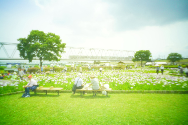 ソニーα7S II　シャッタースピード優先オート（1/6秒）　ISO 2000　WB:日陰　（B+1,G+2）　ビビッド