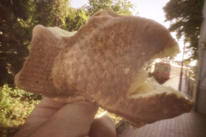 ソニーα7S II　シャッタースピード優先オート　（1/25秒）　ISO25600　WB:日陰　（A+5,M+4）　ニュートラル