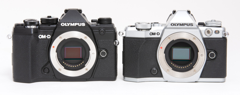 シルバーボディがE-M5 Mark II、ブラックがMark III。OMを連想させる全体的なスタイリングは踏襲しているが、よく見れば別物と言えるほど形が違う。グリップの形状やストラップの取り付け位置も異なる。またMark IIには装備されていたシンクロターミナルがMark IIでは省略された。ミドルクラスなので必要ないと判断したのだろうか。とはいえ外部ストロボもコマンダーによるワイヤレス発光が主流になってきているので、不便に思う人は少ないかもしれない。