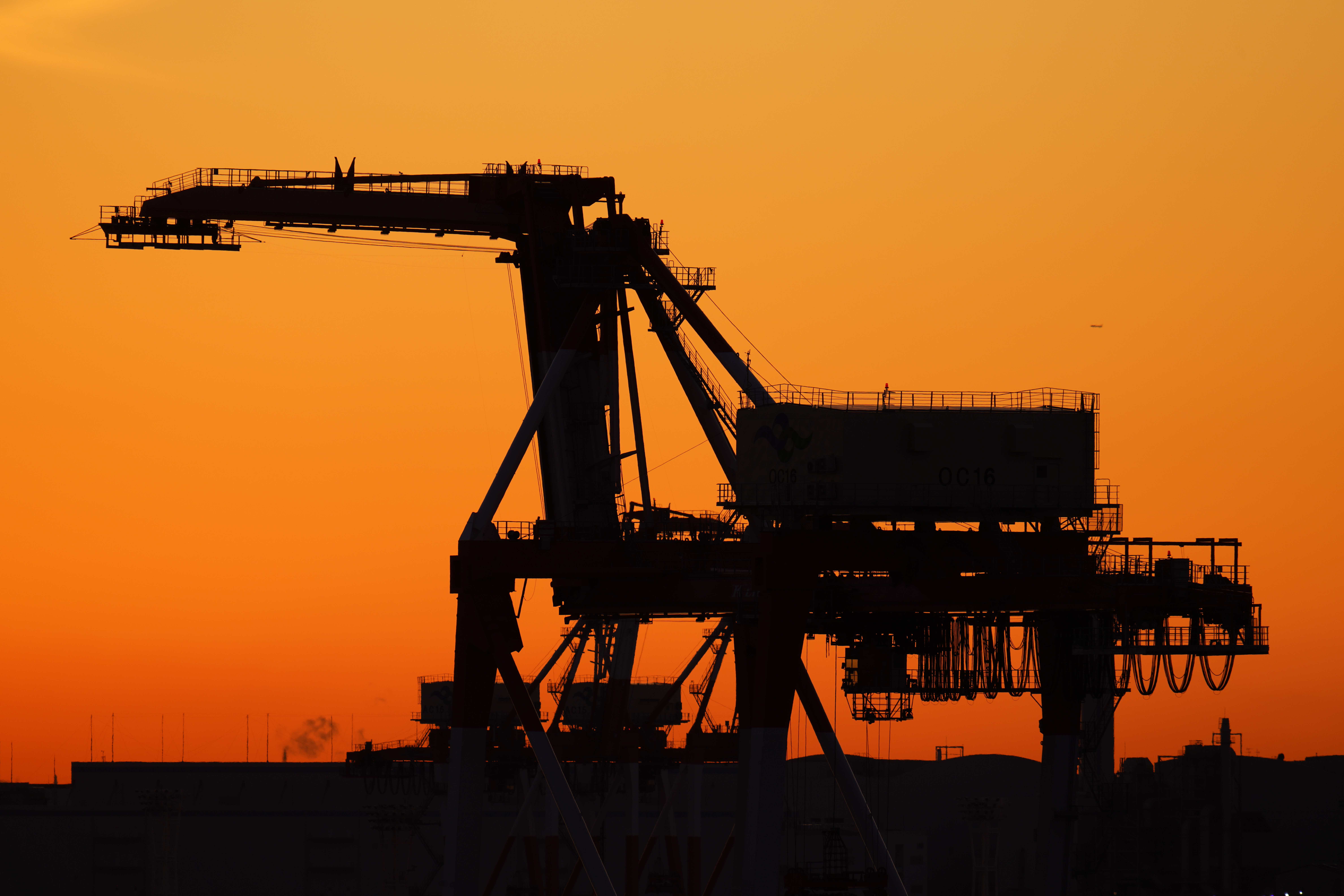 ソニーα7R IV / FE 200-600mm F5.6-6.3 G OSS / 600mm / 絞り優先AE（F6.3・1/125秒・±0EV） / ISO 100