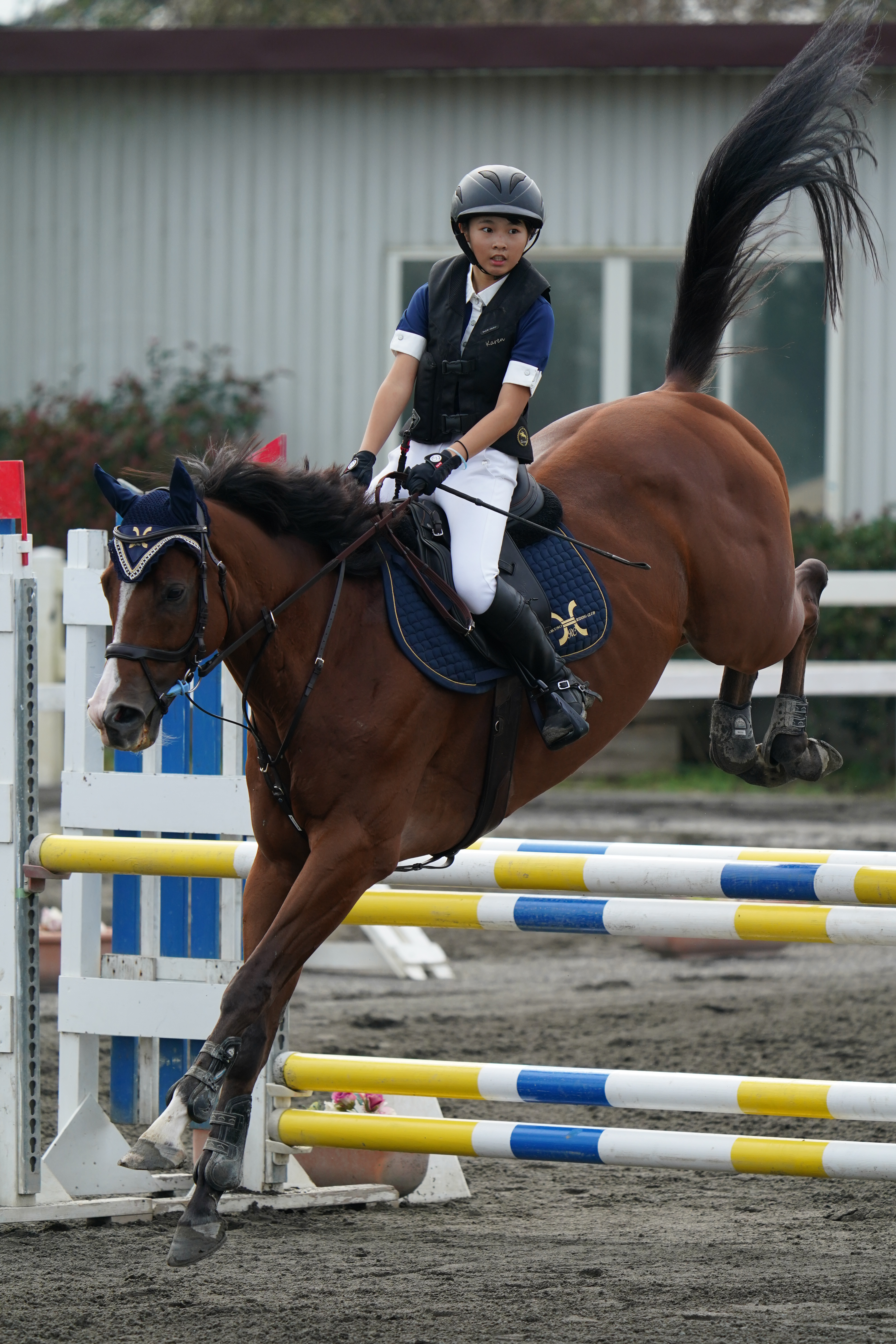 ソニーα9 II / FE 200-600mm F5.6-6.3 G OSS / 332mm / シャッター優先AE（F6.3・1/2,000秒・±0EV） / ISO 800