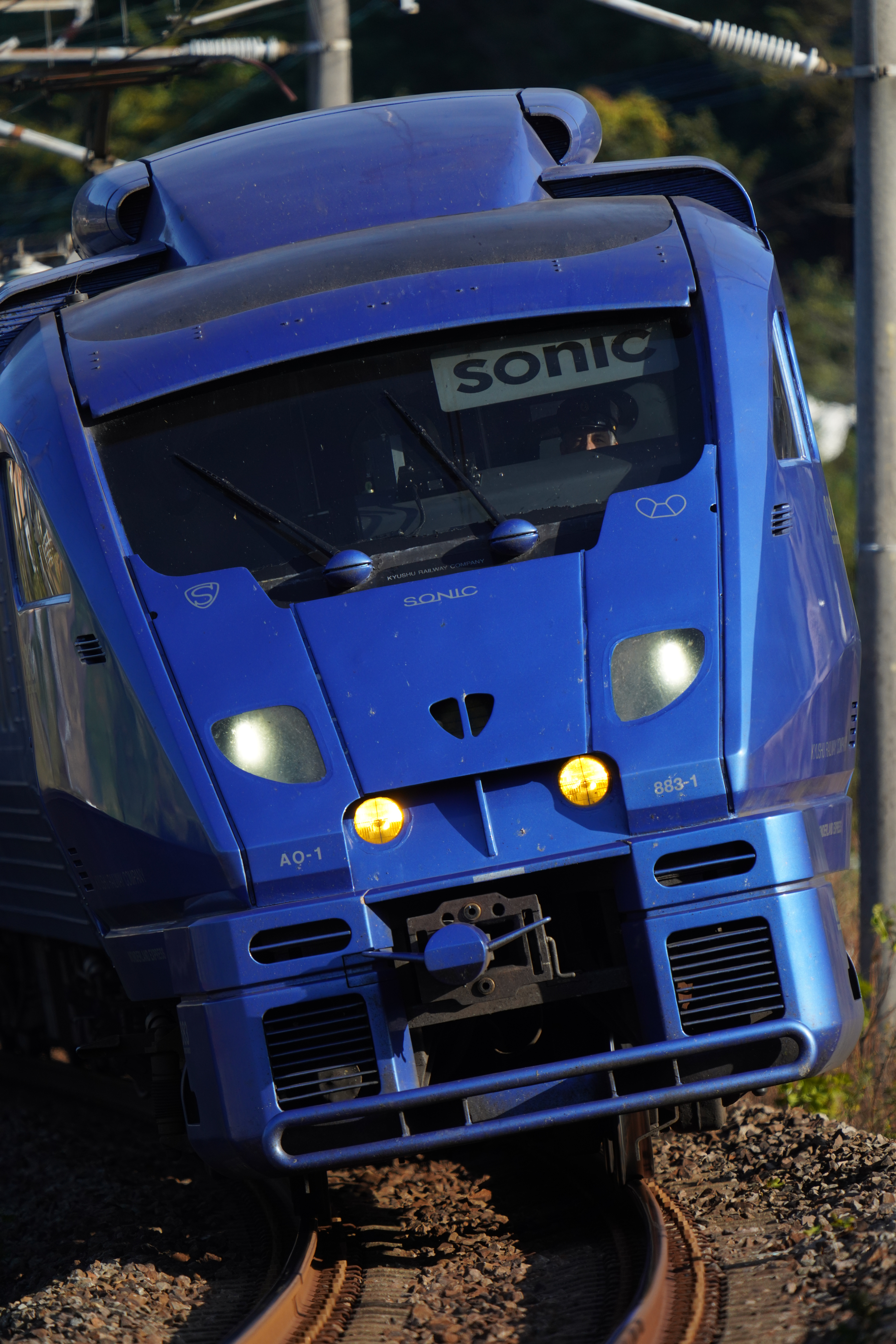 ソニーα7R IV / FE 200-600mm F5.6-6.3 G OSS / 600mm / シャッター優先AE（F6.3・1/1,000秒・-0.7EV） / ISO 400