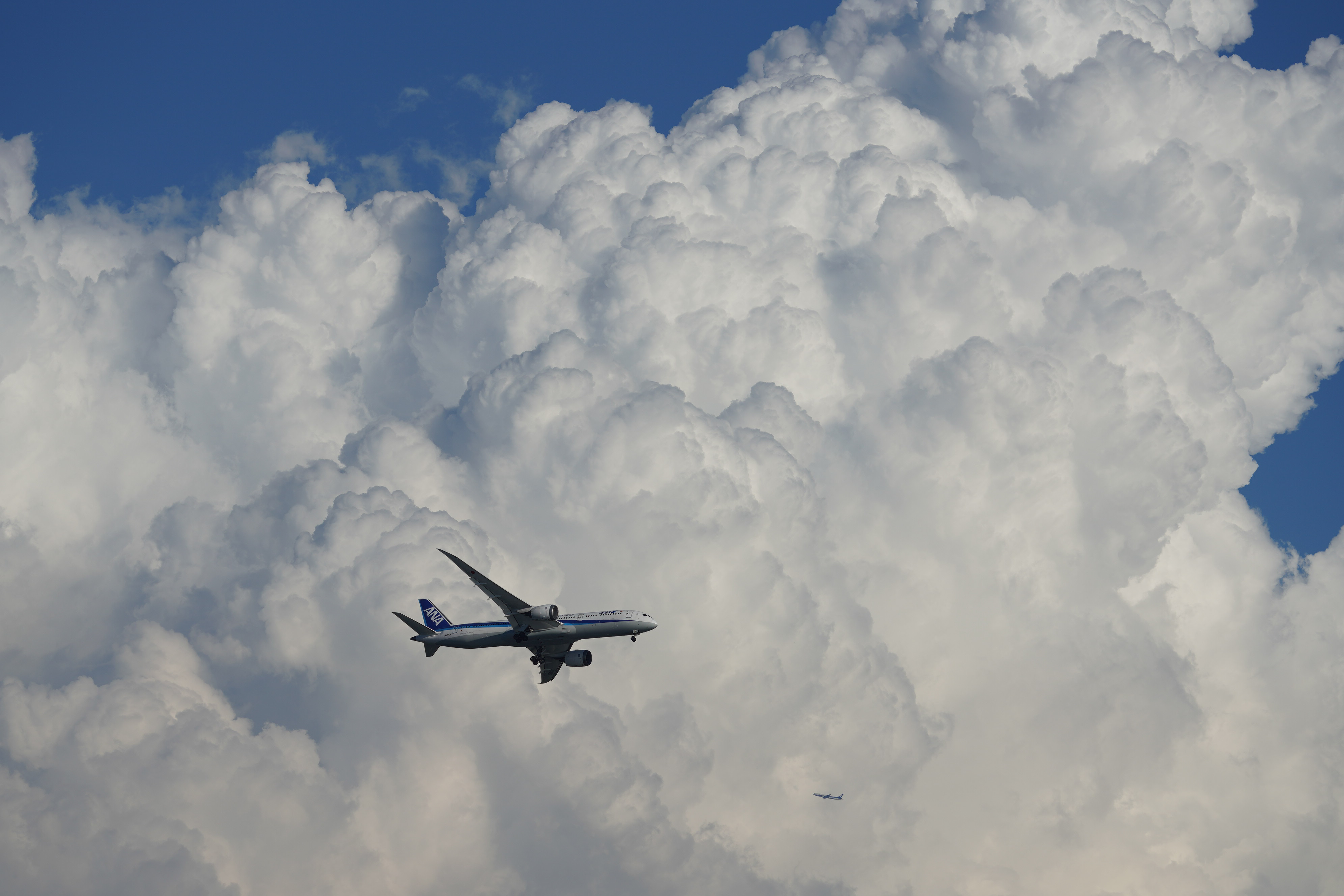 ソニーα7R III / FE 200-600mm F5.6-6.3 G OSS / 200mm / シャッター優先AE（F9・1/800秒・±0EV） / ISO 100