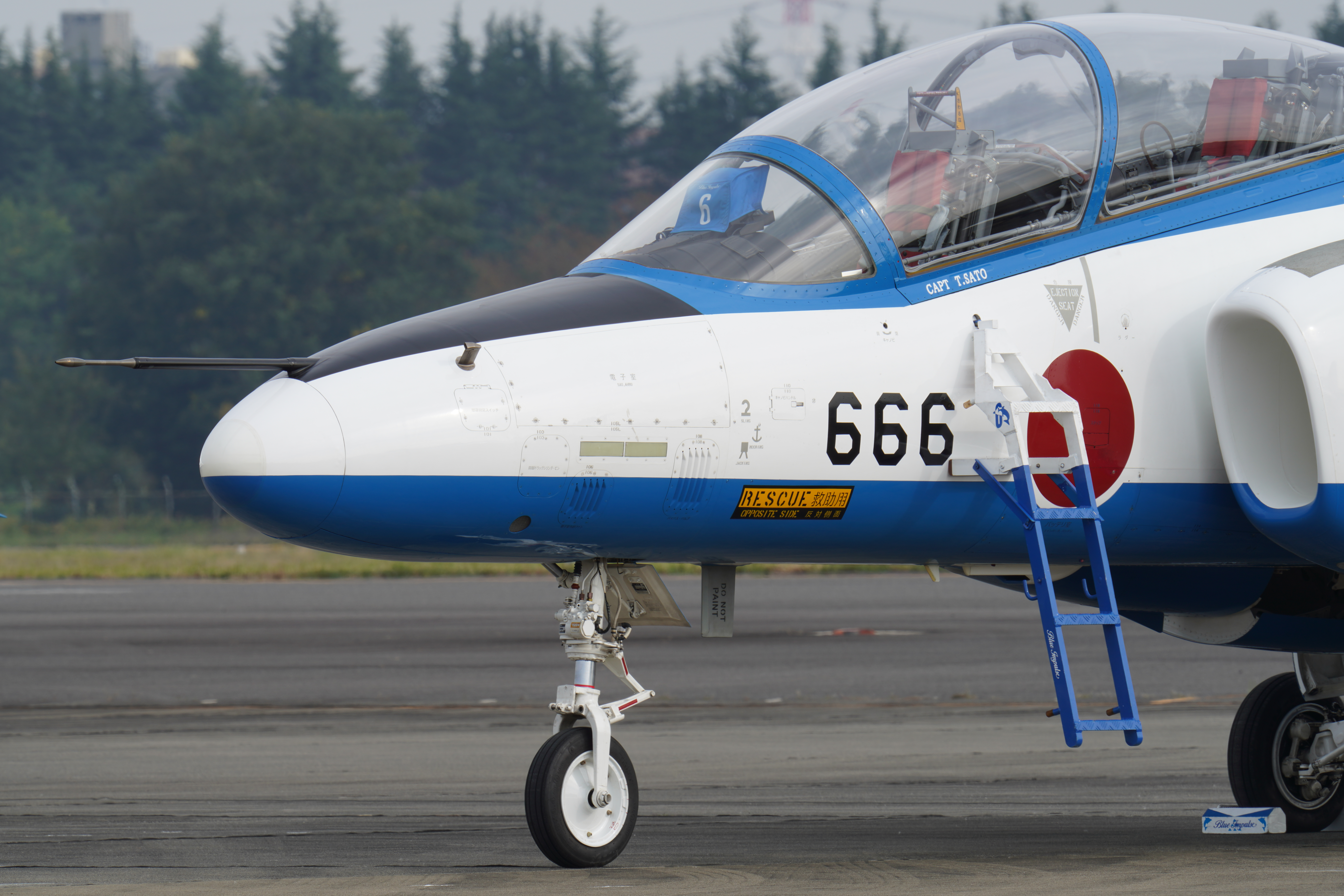 ソニーα7R IV / FE 200-600mm F5.6-6.3 G OSS / 600mm / シャッター優先AE（F18・1/40秒・-0.3EV） / ISO 100