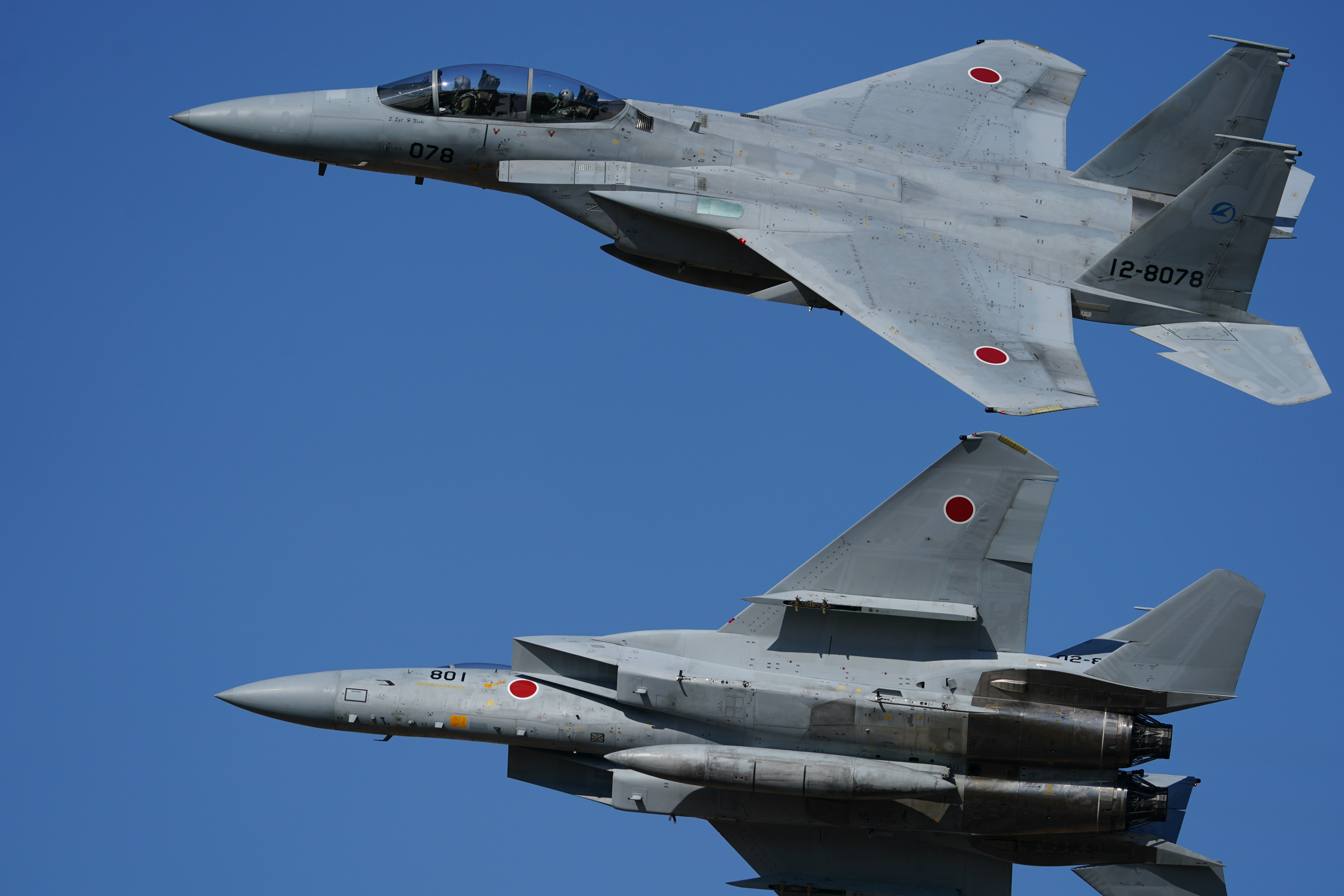 ソニーα9 II / FE 200-600mm F5.6-6.3 G OSS / 329mm / シャッター優先AE（F6.3・1/2,000秒・-0.7EV） / ISO 200