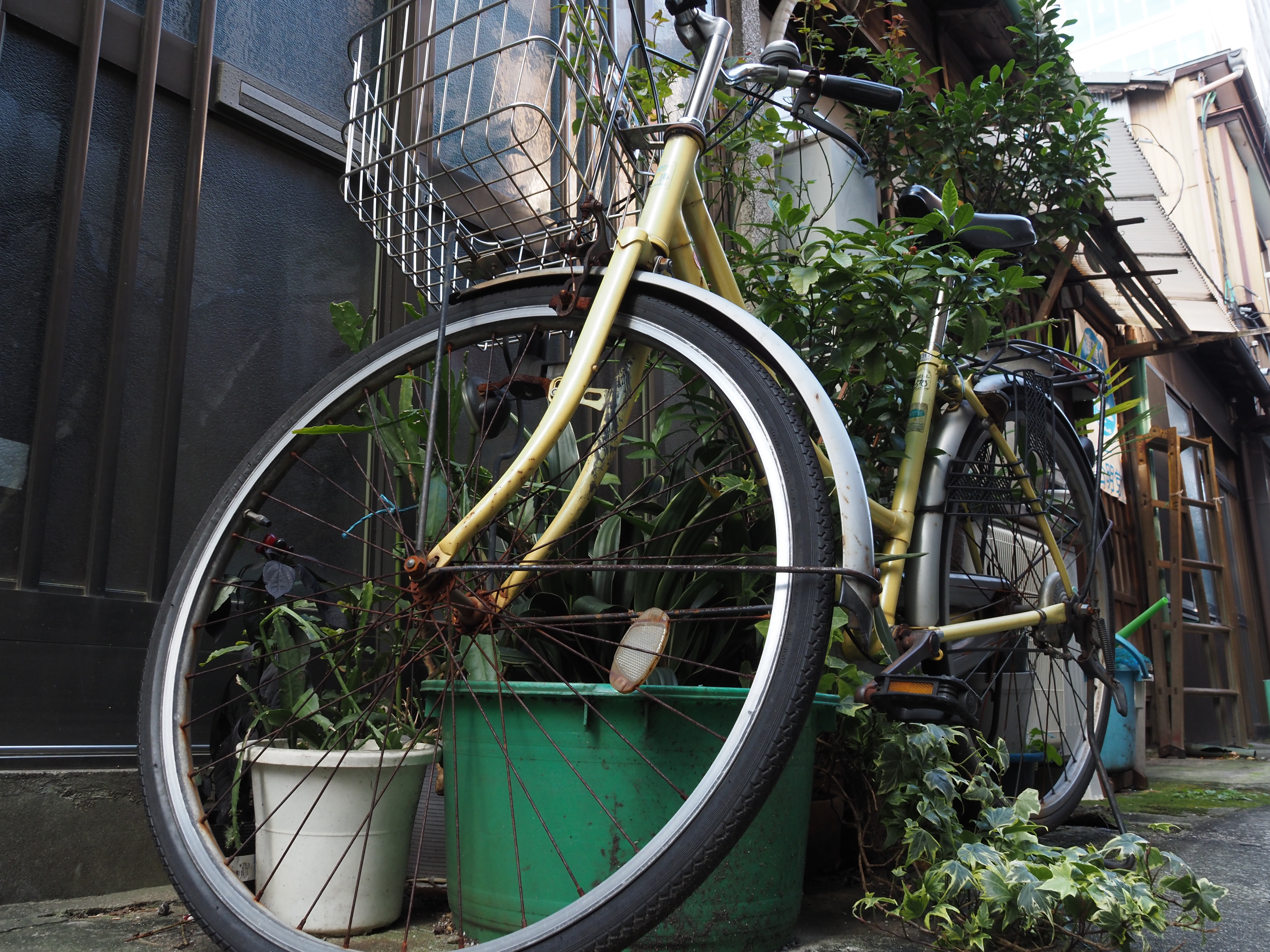 バリアングル液晶モニターは、ローアングルやハイアングルでの撮影に欠かせない。ここでも地面スレスレのローアングルで自転車を狙った。<br>OM-D E-M5 Mark III　 M.ZUIKO DIGITAL ED 14-150mm F4.0-5.6 II （14mm）　ISO 400　F8　1/20秒