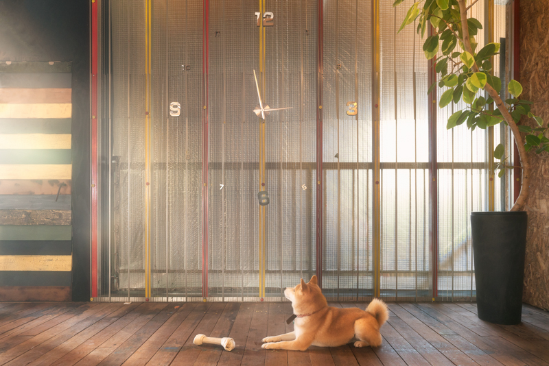 中田久美子さんの作品（α7S II）