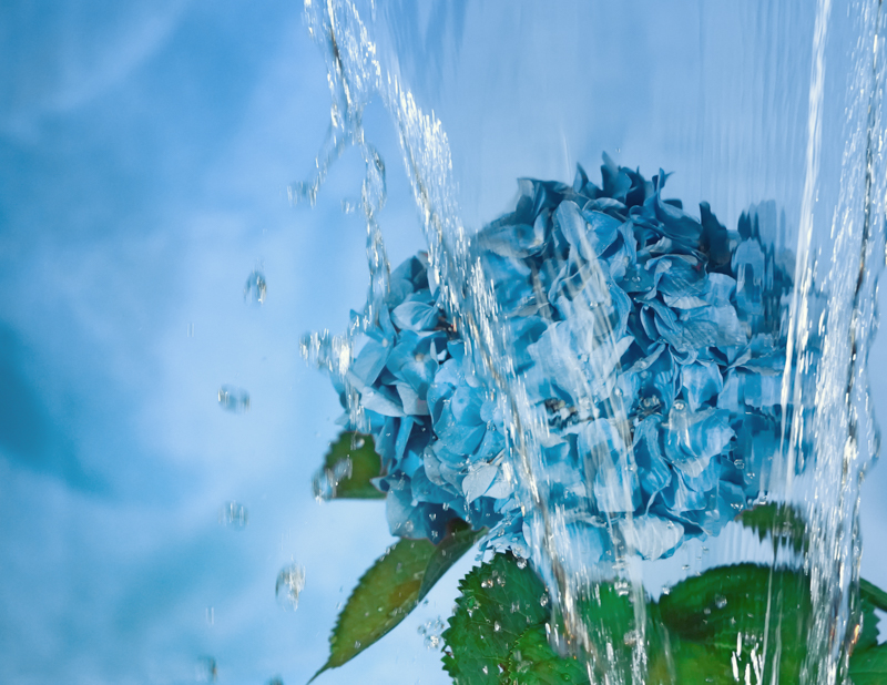 中田久美子さんの作品（α7R III）